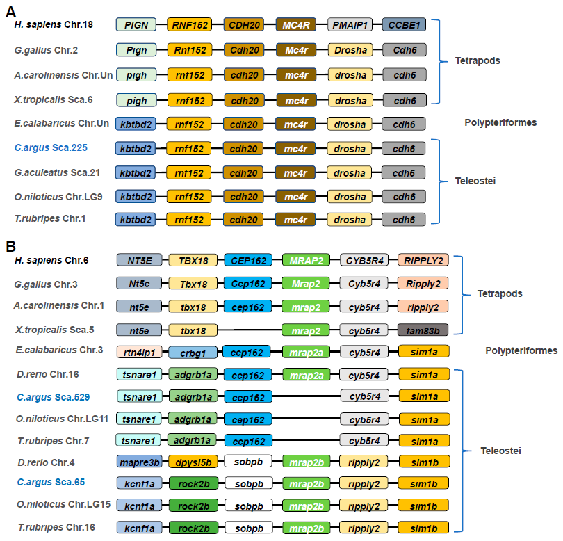 Biomolecules 11 00481 g002 Biomolecules 11 00481 g002