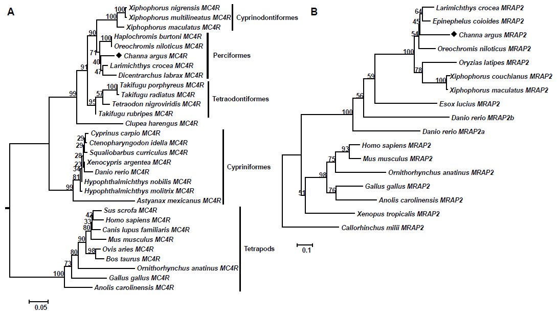 Biomolecules 11 00481 g003 Biomolecules 11 00481 g003