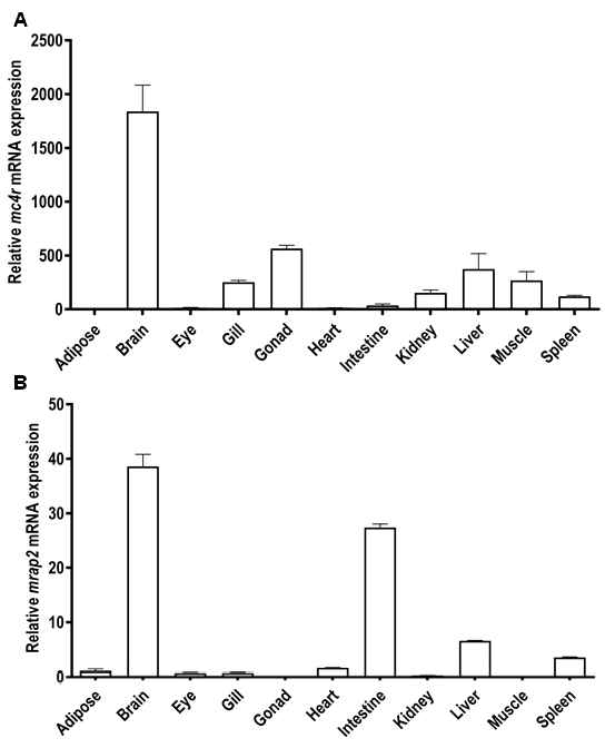 Biomolecules 11 00481 g004 Biomolecules 11 00481 g004