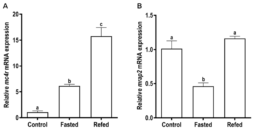 Biomolecules 11 00481 g006 Biomolecules 11 00481 g006