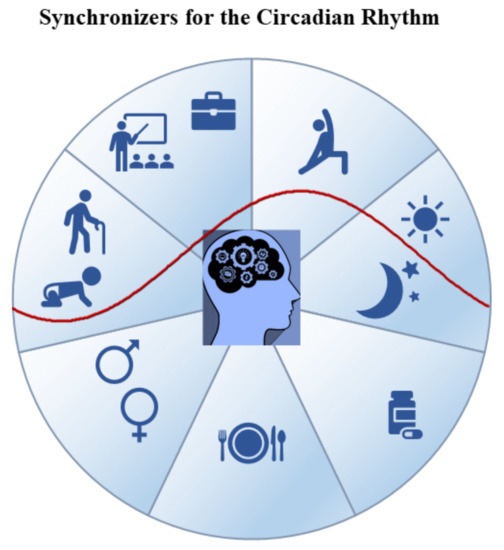 Biological Rhythm and Chronotype: New Perspectives in Health