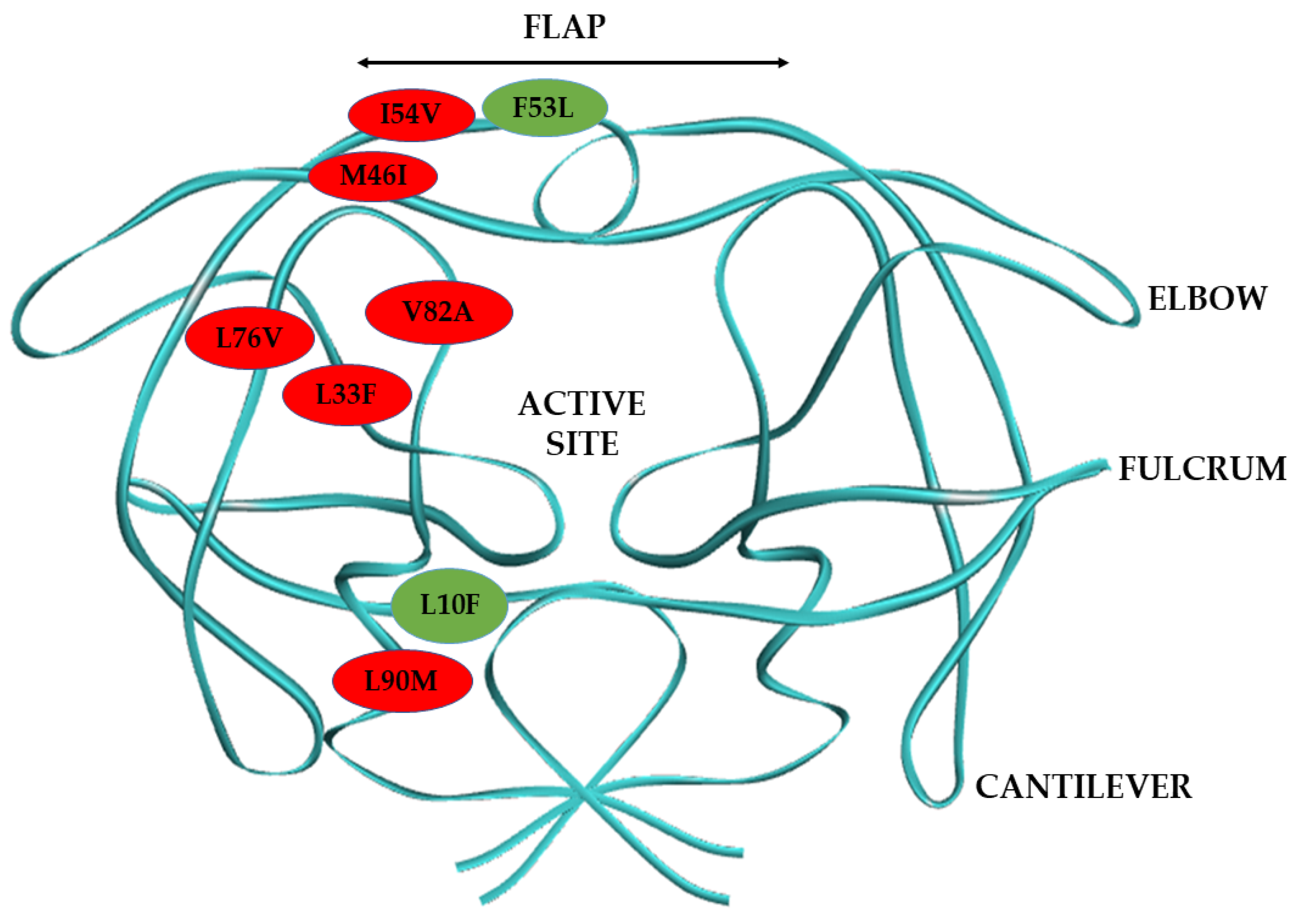 Biomolecules 11 00489 g001 Biomolecules 11 00489 g001