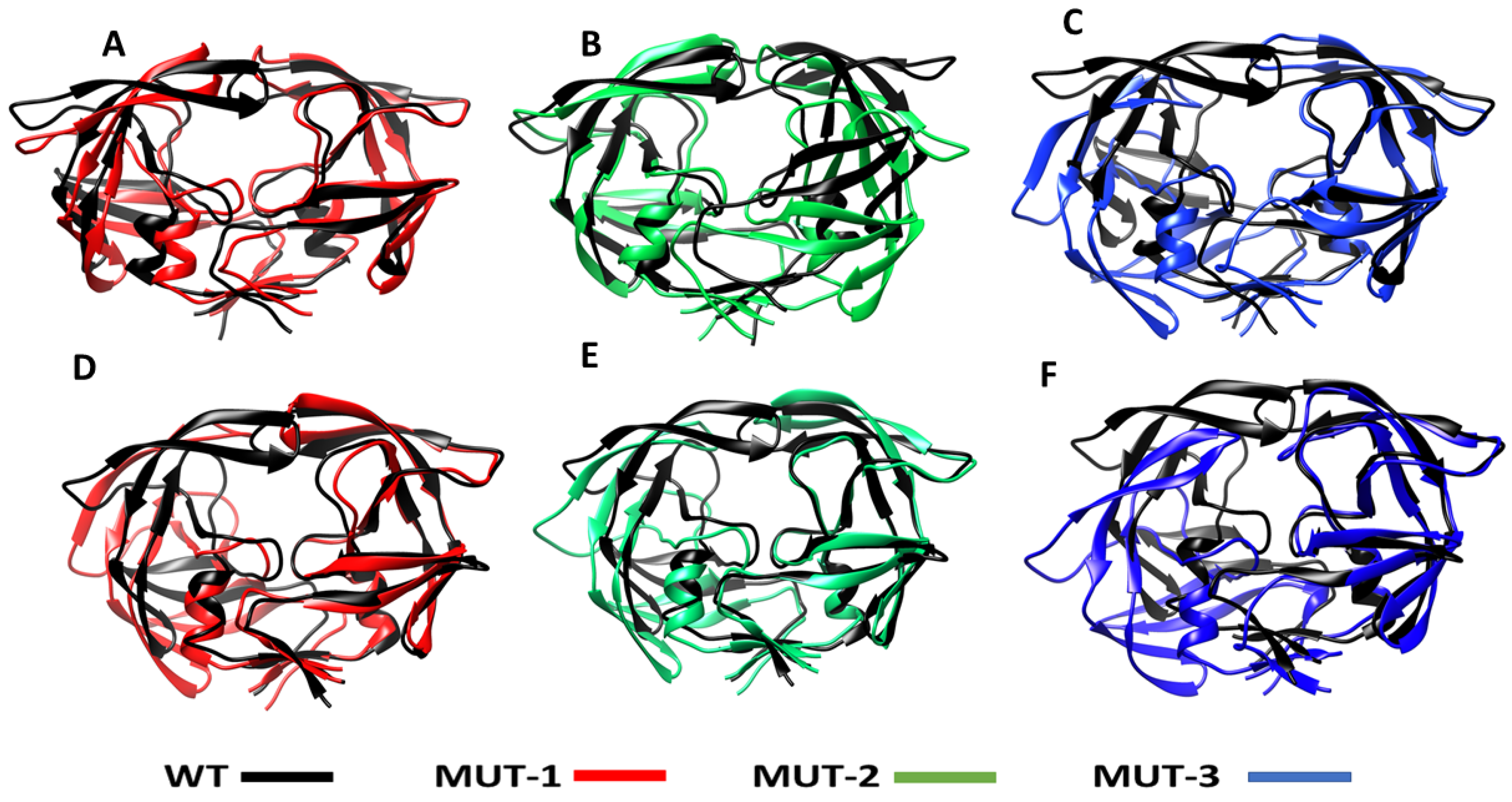 Biomolecules 11 00489 g009 Biomolecules 11 00489 g009