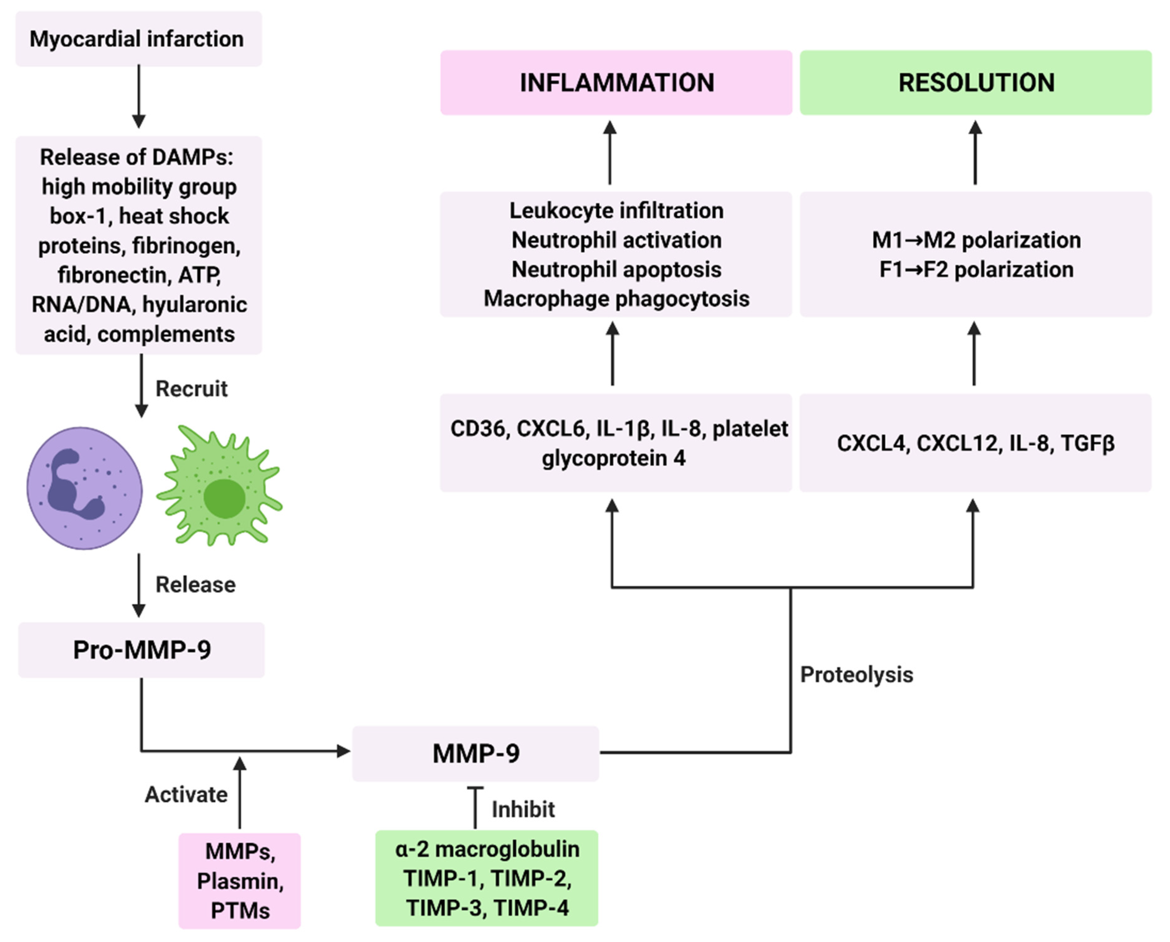 Biomolecules 11 00491 g002