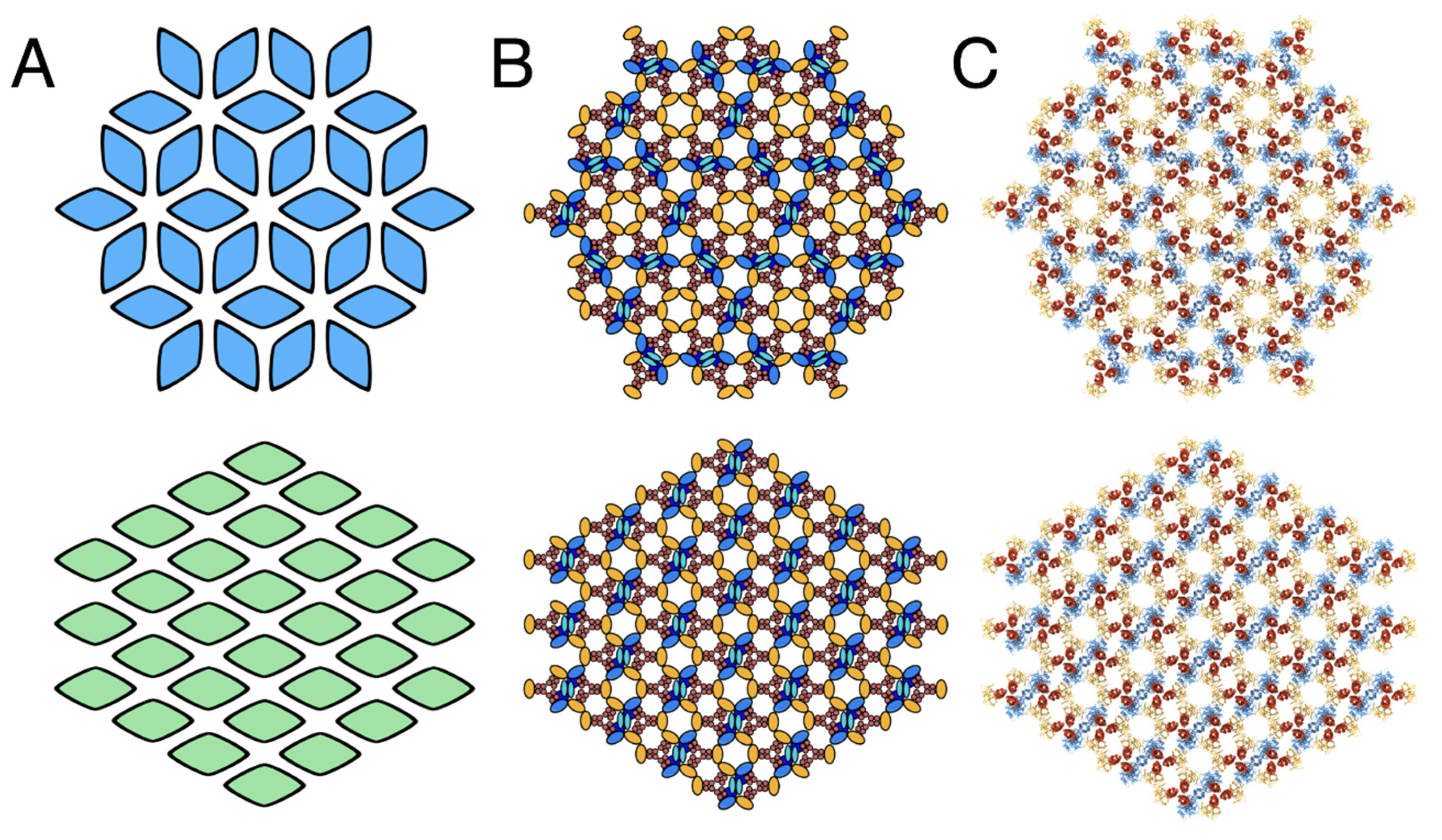 Biomolecules 11 00495 g003