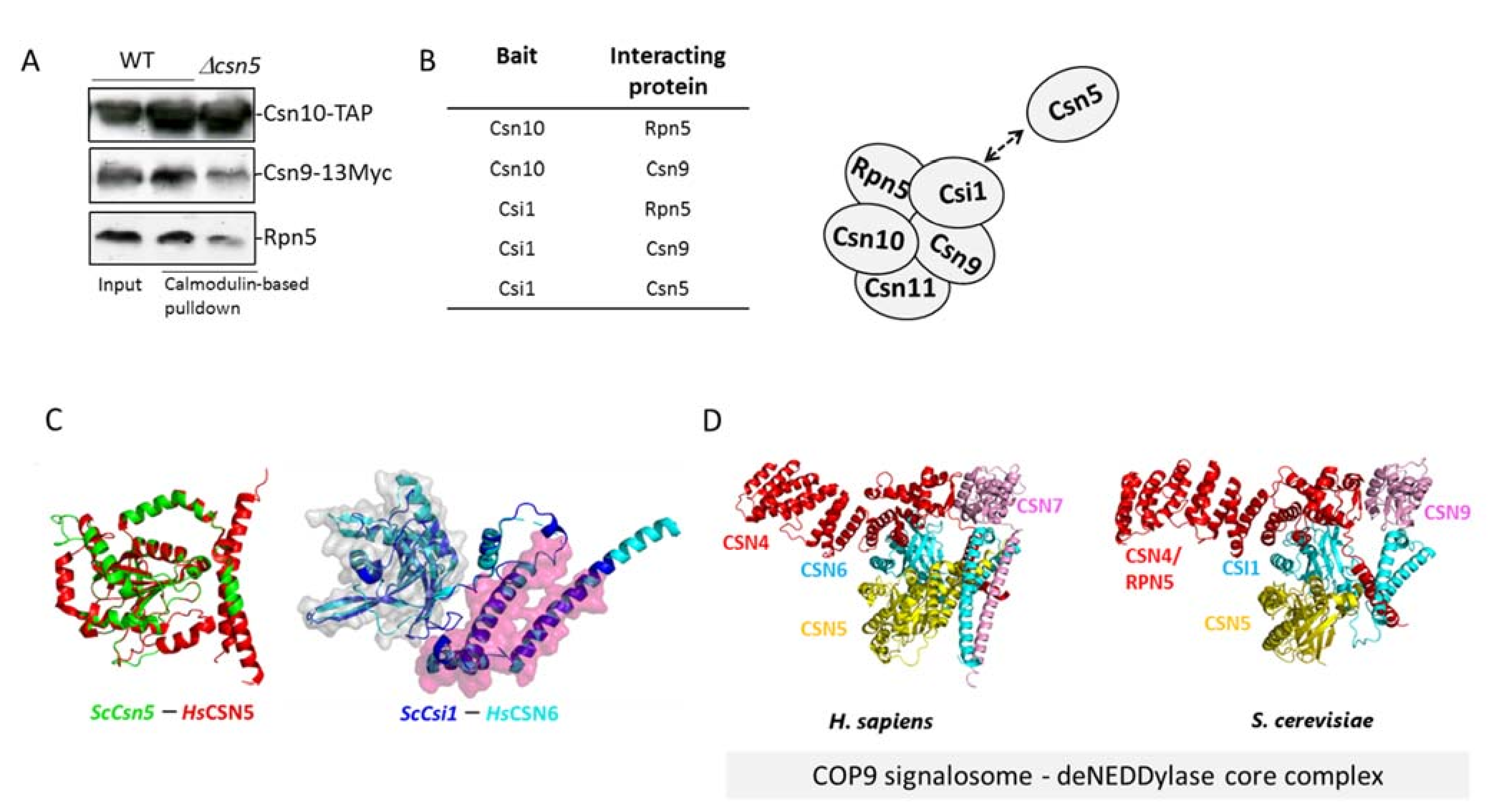 Biomolecules 11 00497 g002
