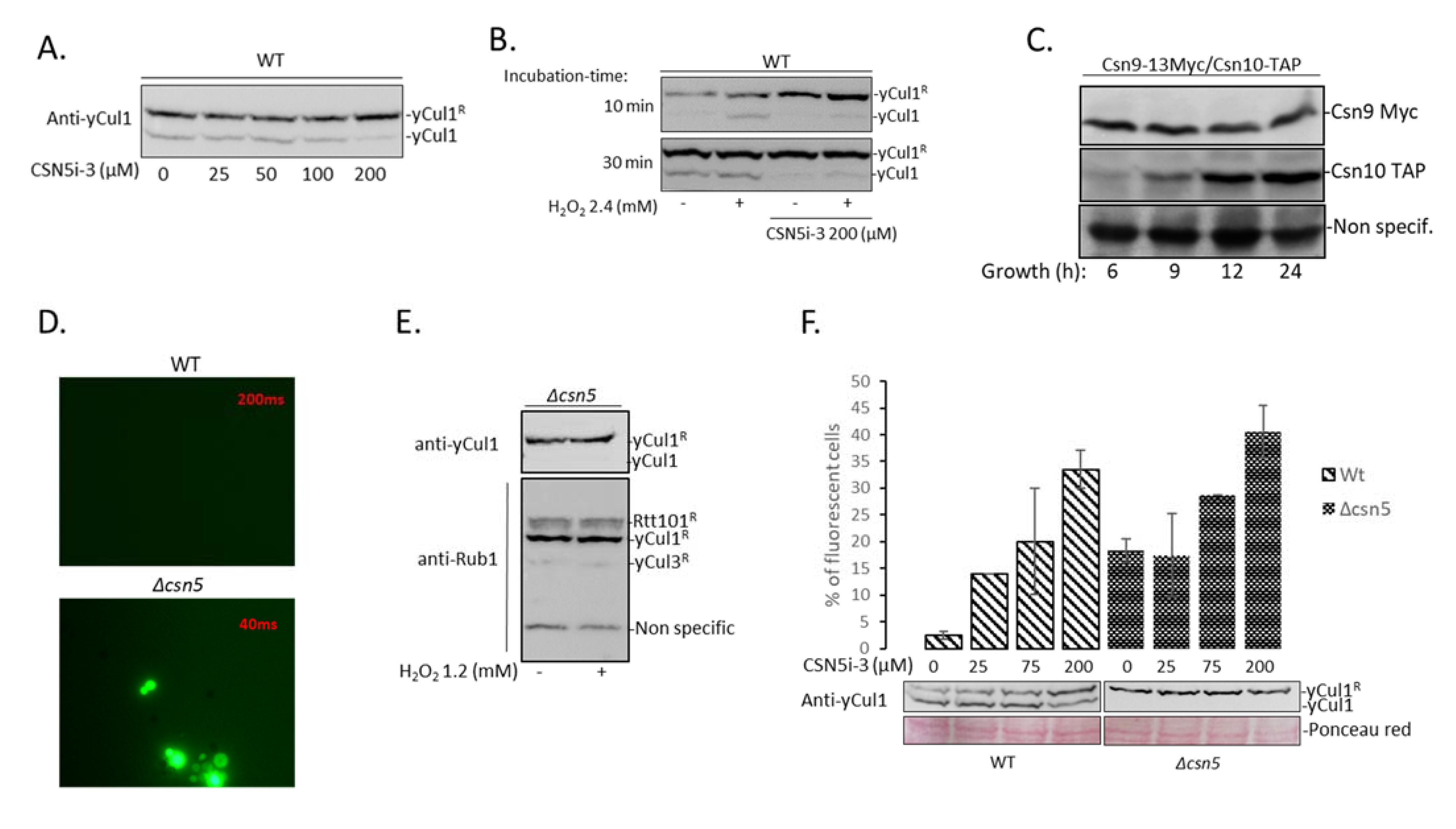 Biomolecules 11 00497 g006
