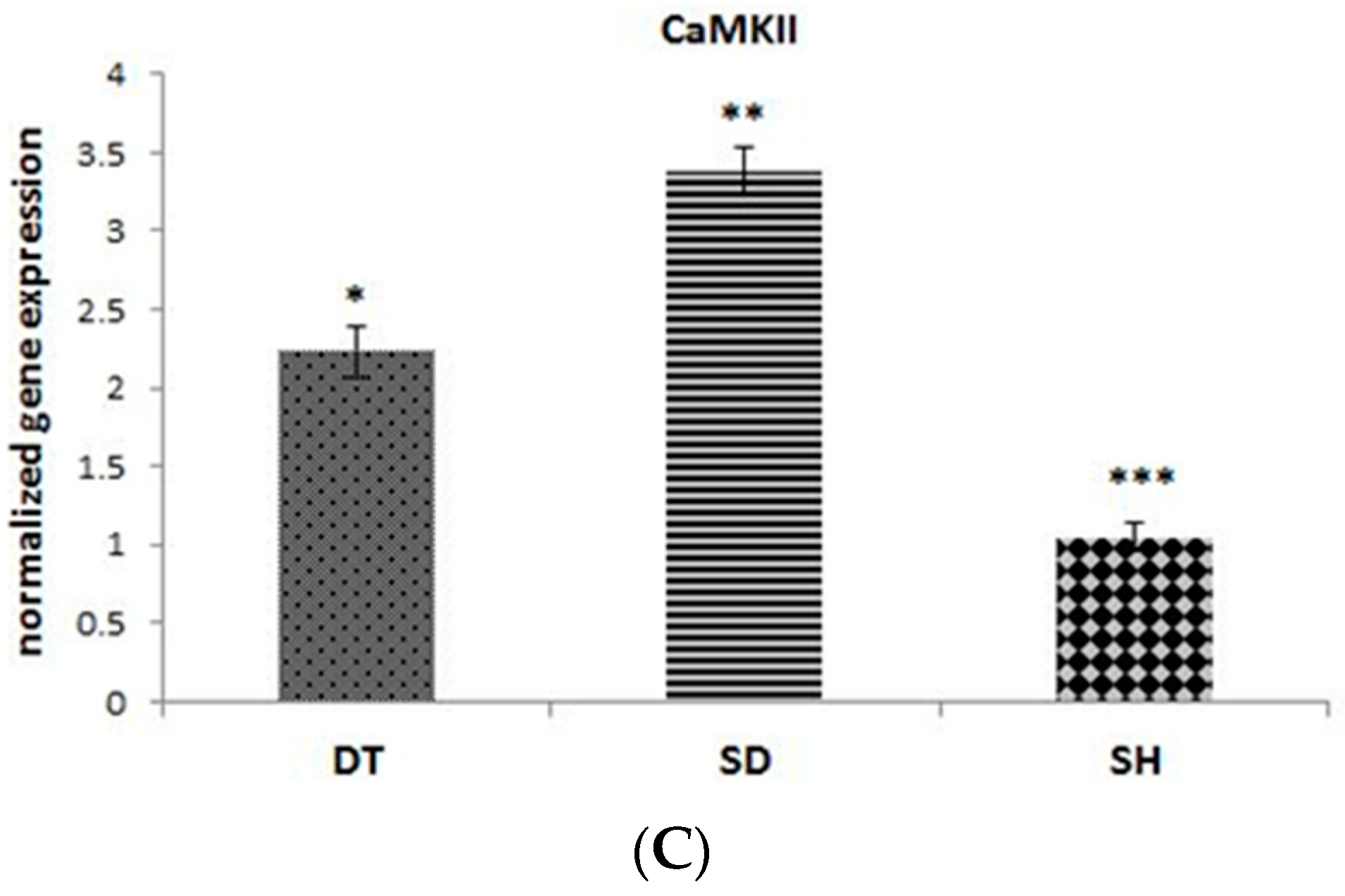 Biomolecules 11 00498 g003b Biomolecules 11 00498 g003b