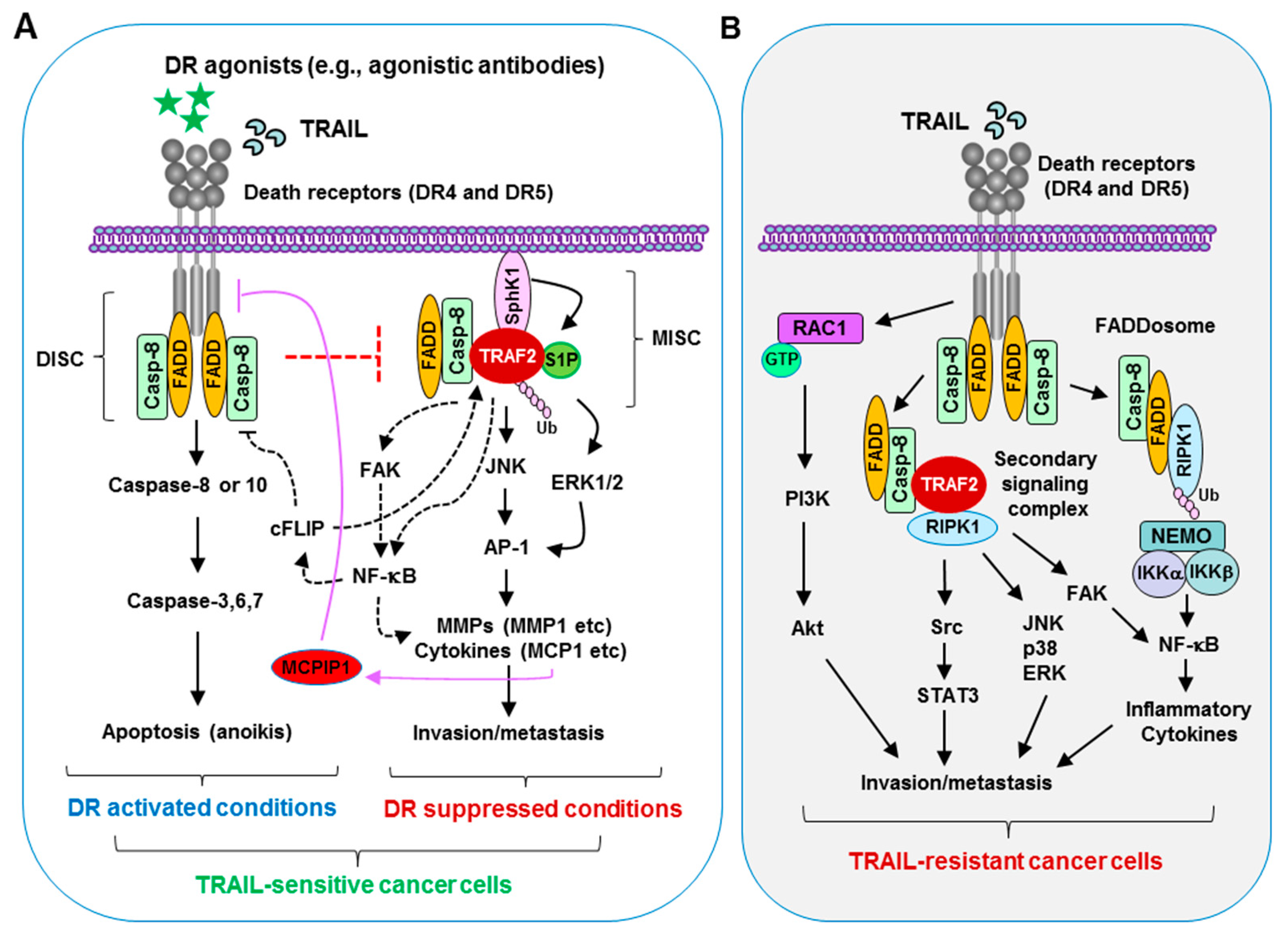 Biomolecules 11 00499 g001 Biomolecules 11 00499 g001