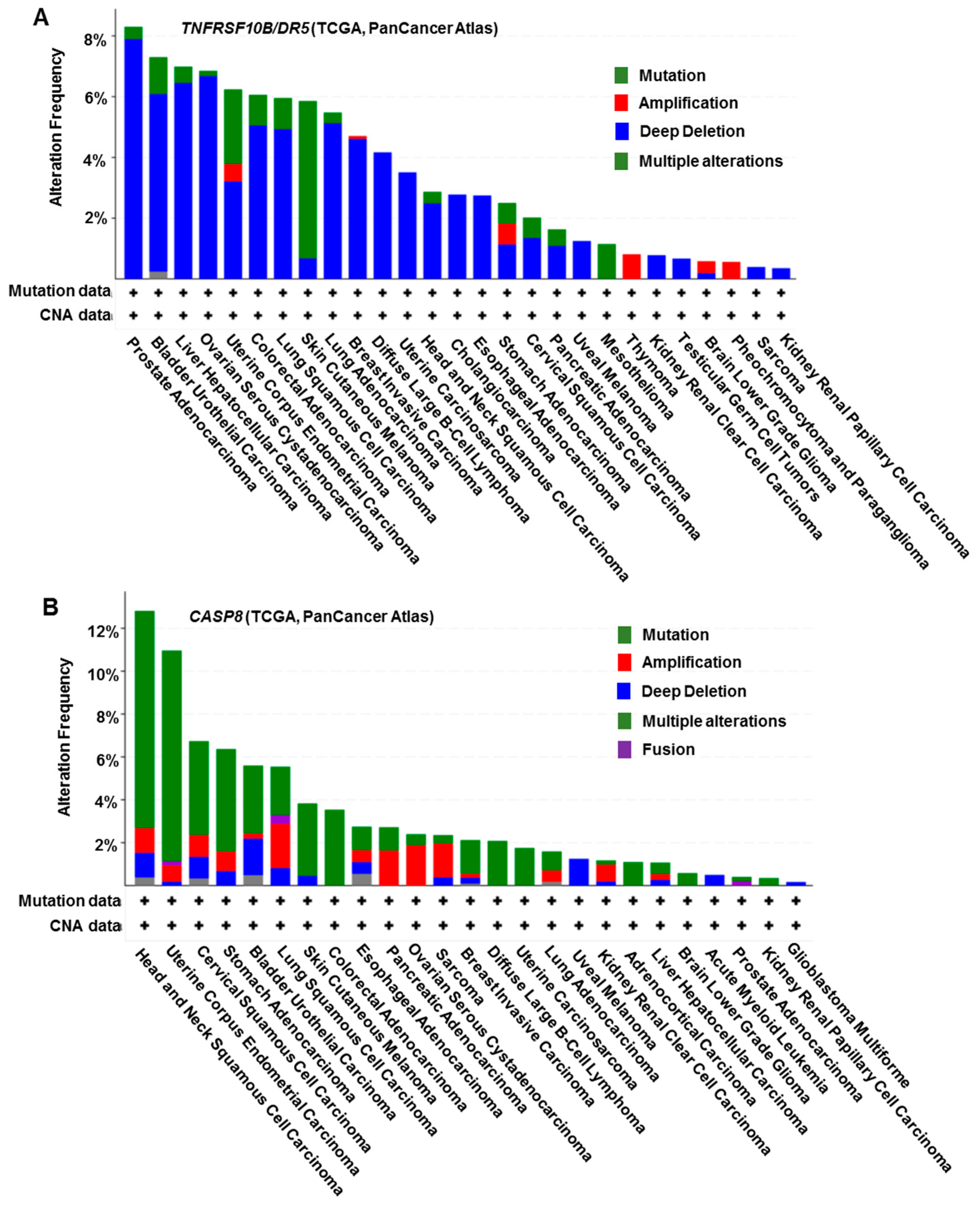 Biomolecules 11 00499 g002 Biomolecules 11 00499 g002