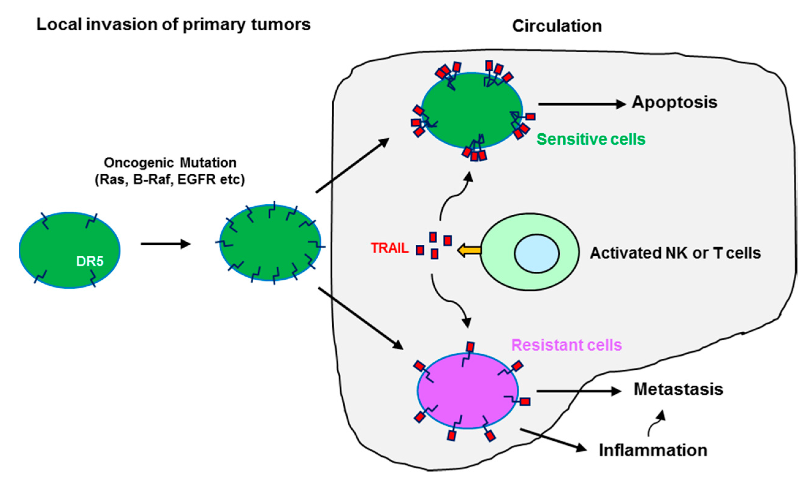 Biomolecules 11 00499 g003 Biomolecules 11 00499 g003