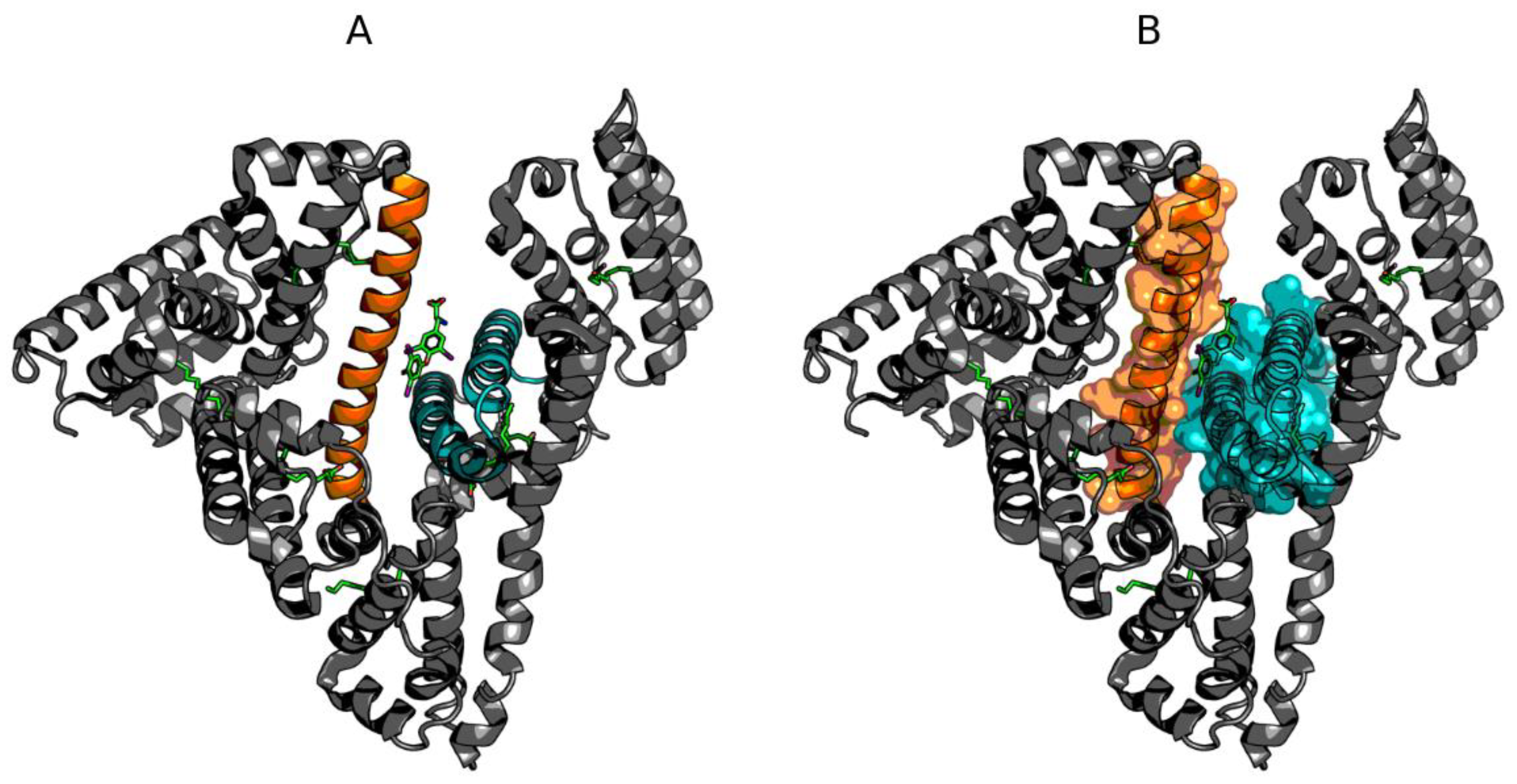 Biomolecules 11 00501 g005