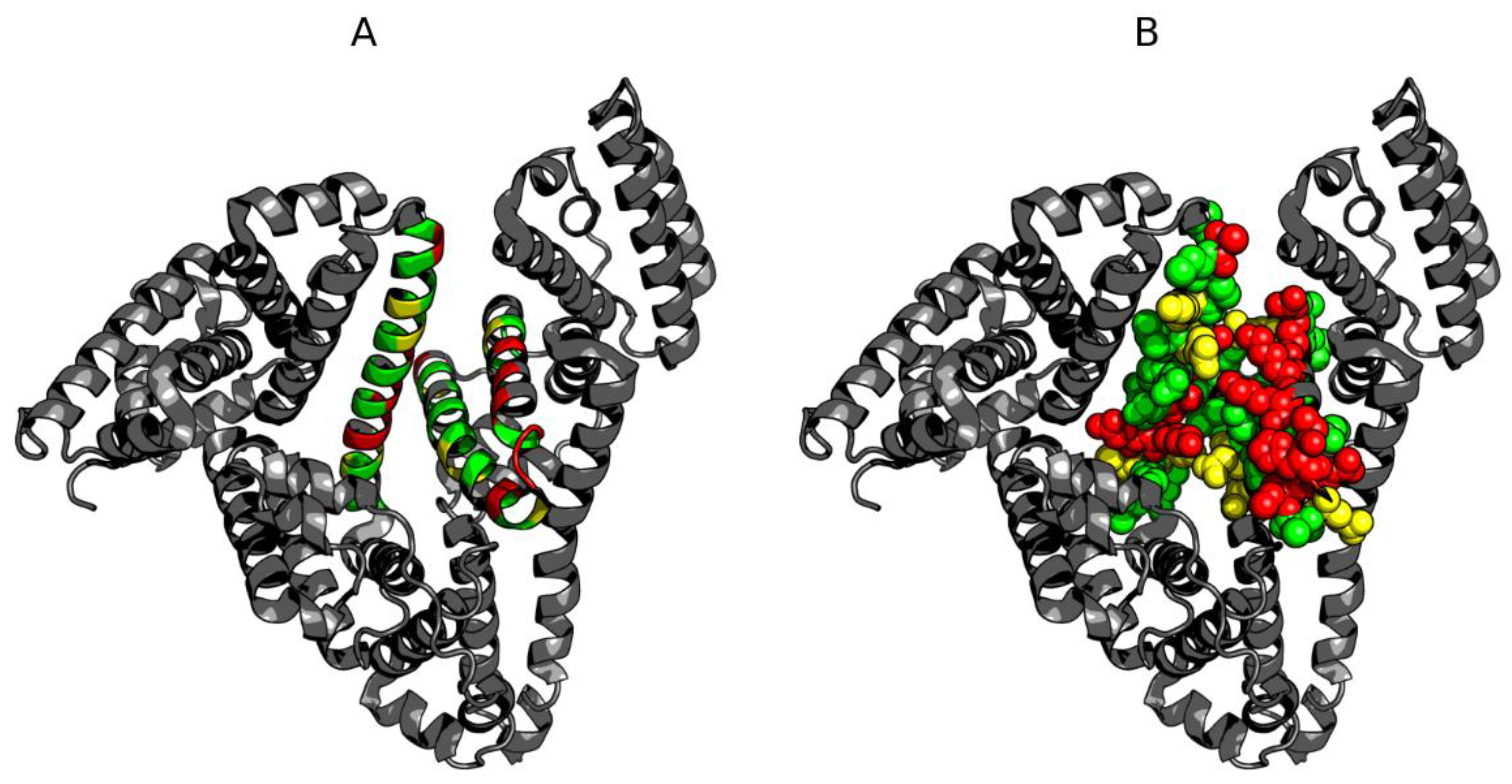 Biomolecules 11 00501 g006