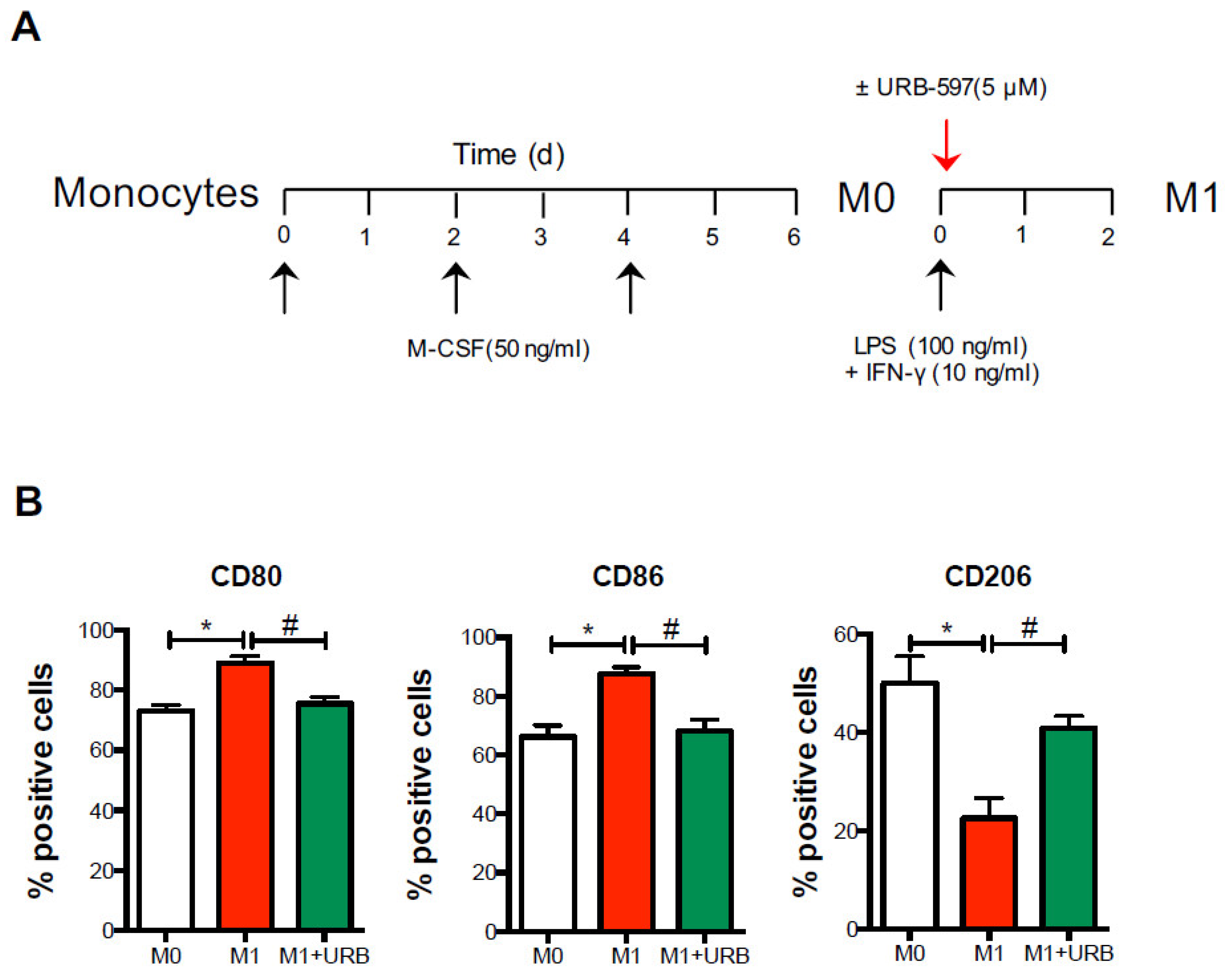 Biomolecules 11 00502 g005 Biomolecules 11 00502 g005