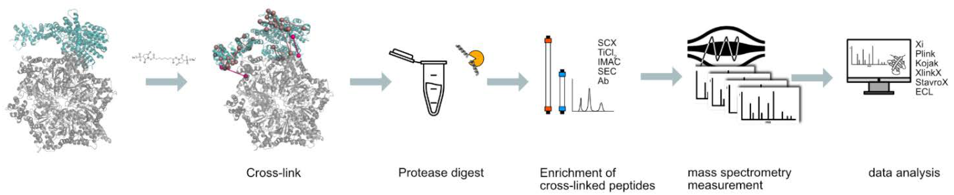 Biomolecules 11 00505 g002 Biomolecules 11 00505 g002