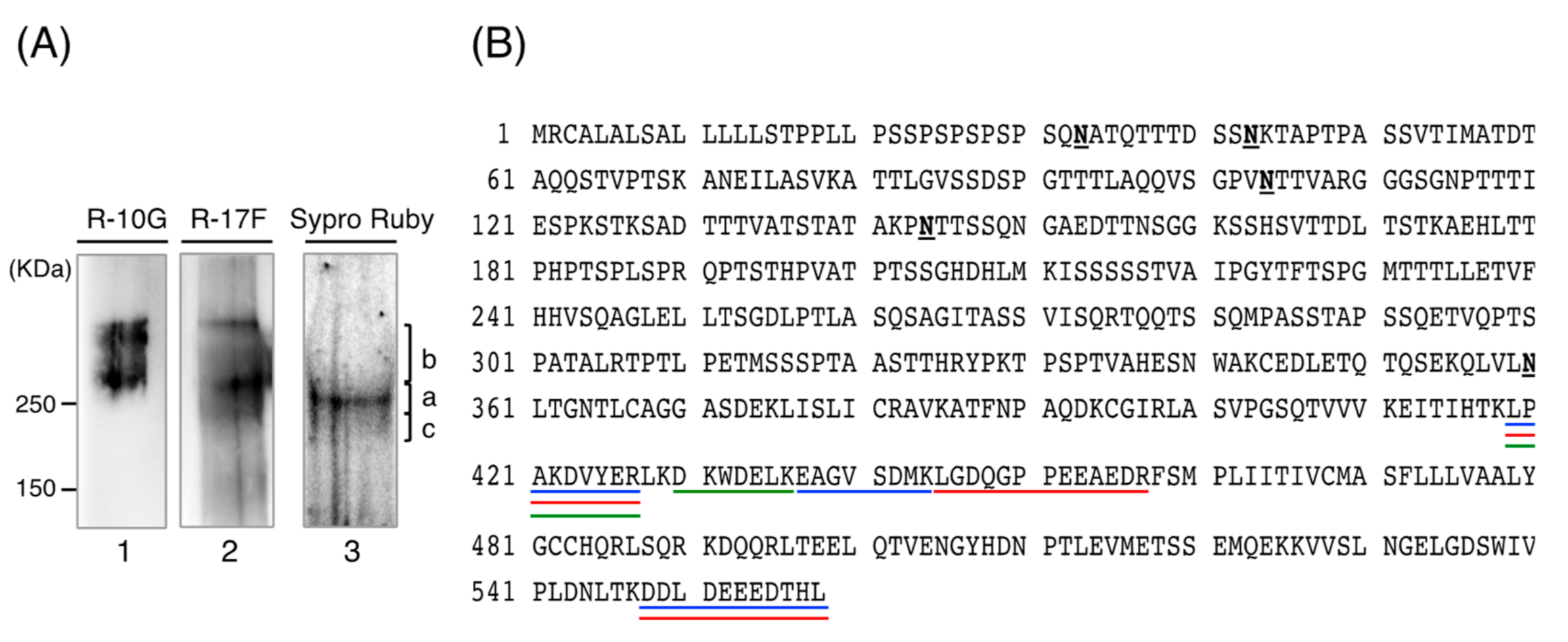 Biomolecules 11 00508 g003 Biomolecules 11 00508 g003
