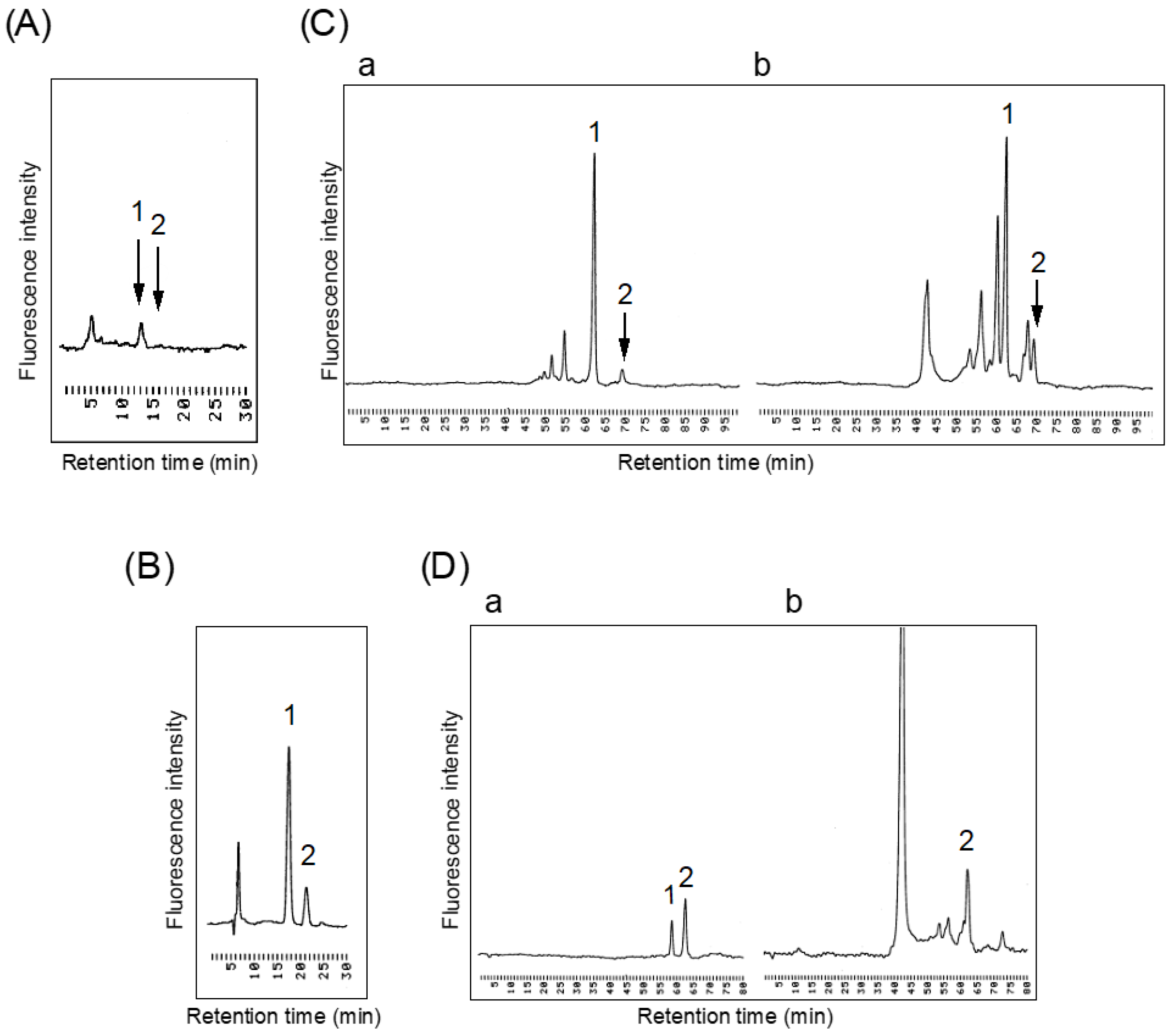 Biomolecules 11 00508 g005 Biomolecules 11 00508 g005
