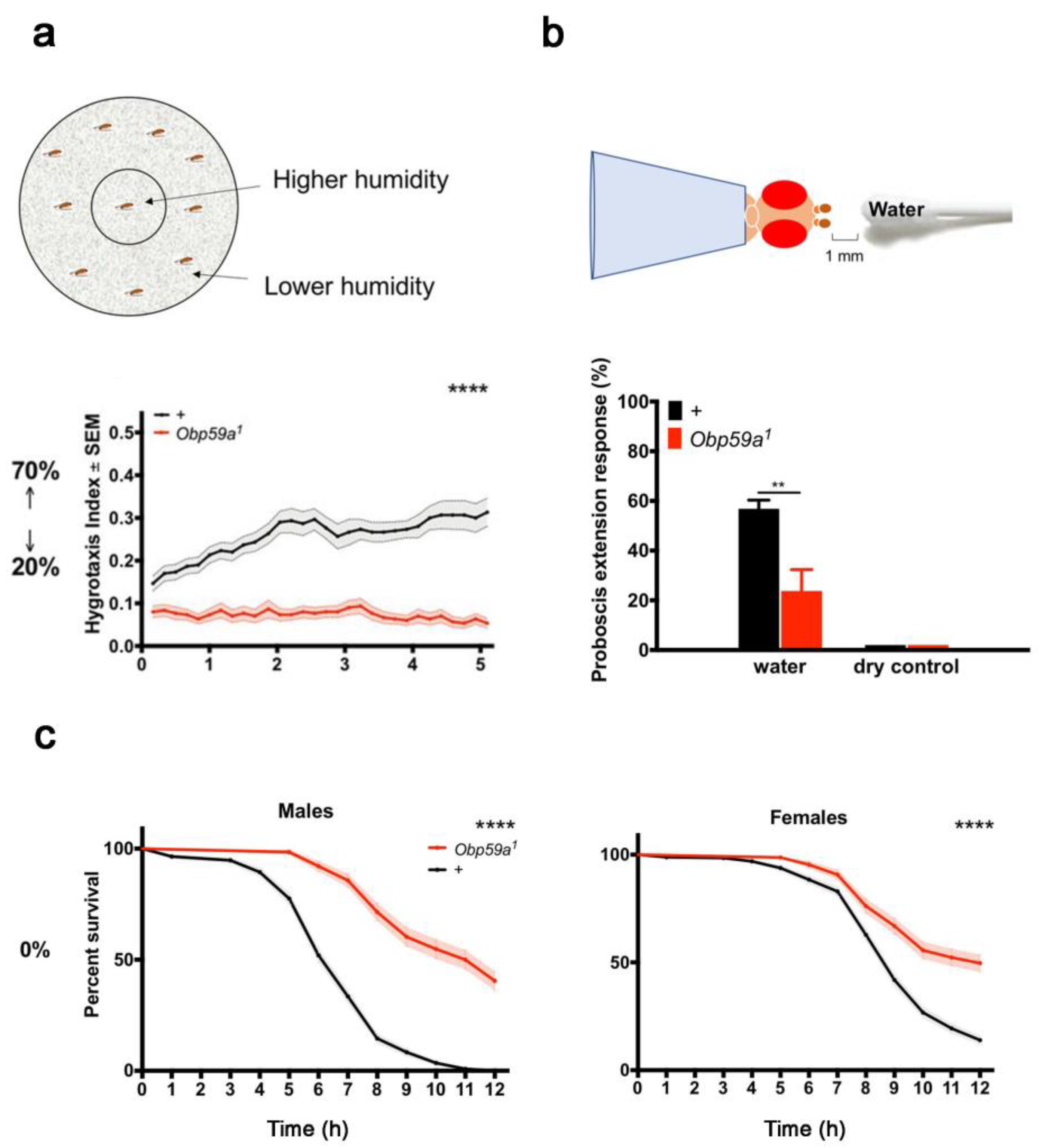 Biomolecules 11 00509 g009