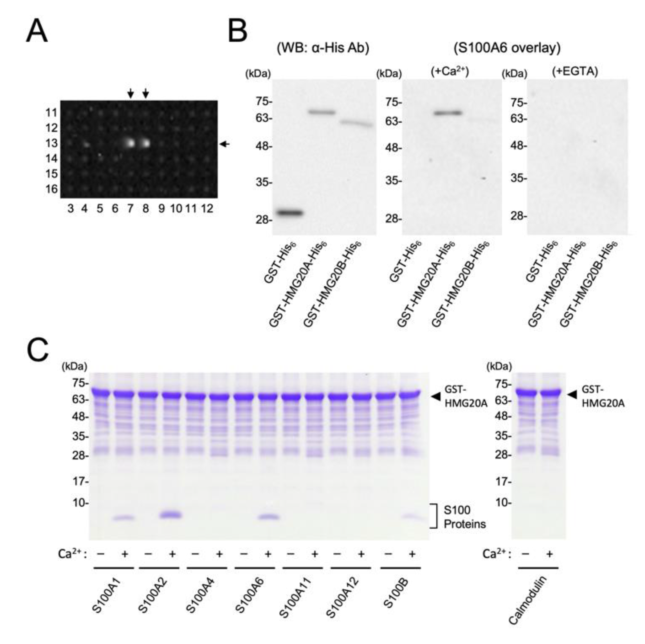 Biomolecules 11 00510 g001