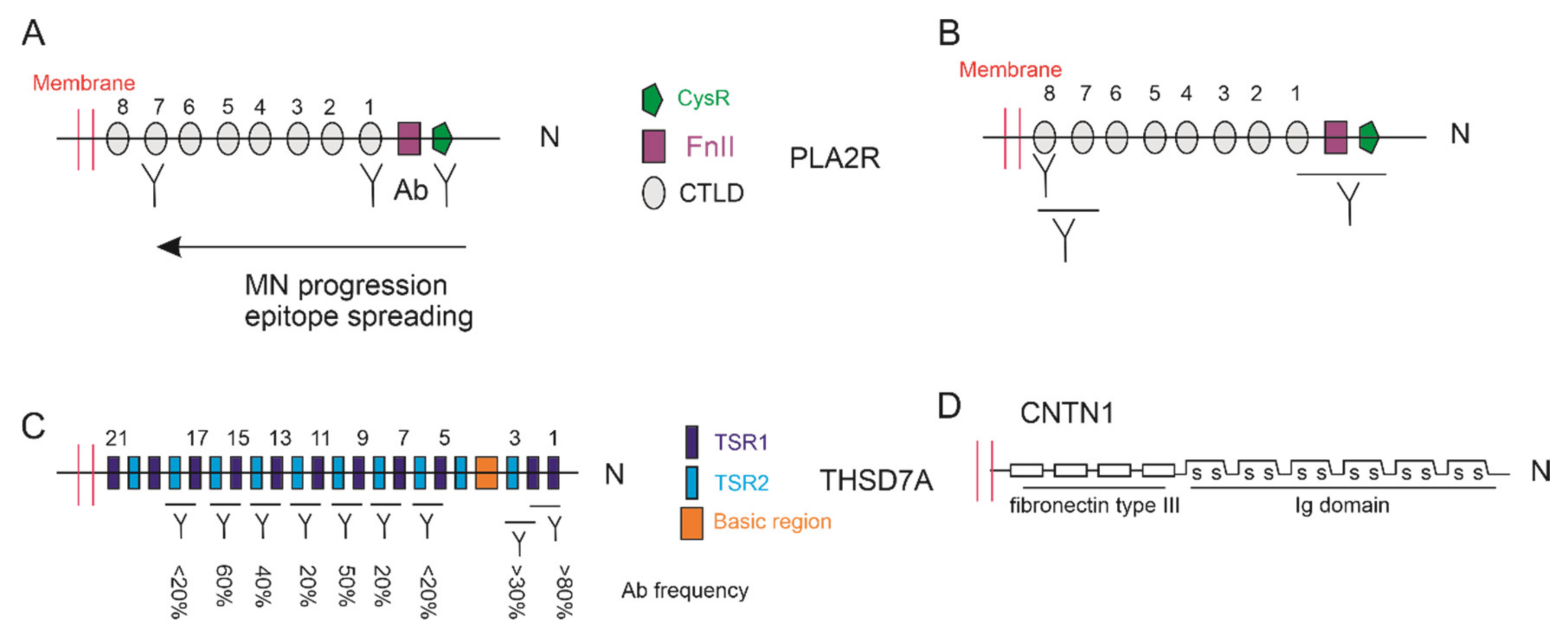 Biomolecules 11 00513 g002 Biomolecules 11 00513 g002