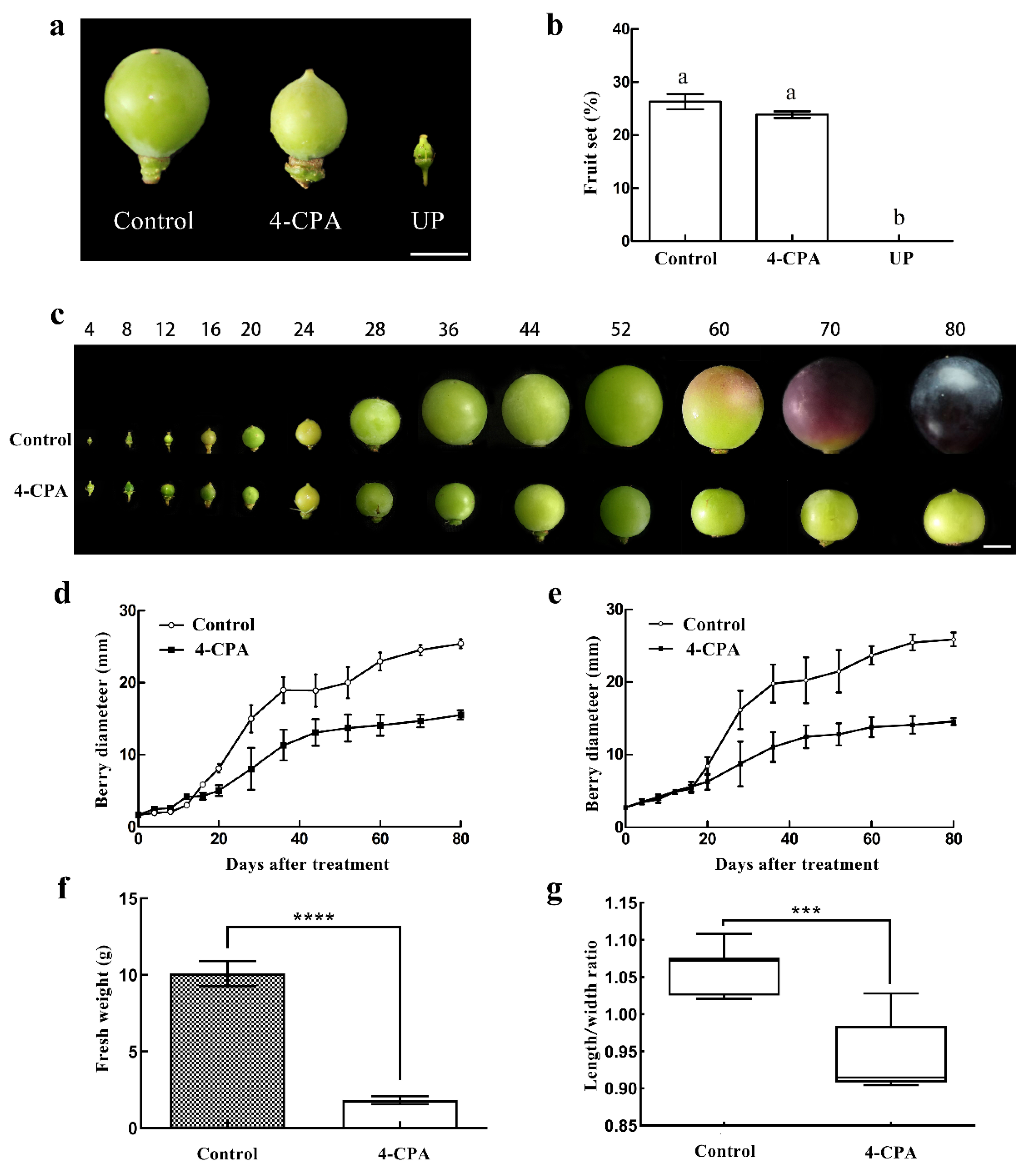 Biomolecules 11 00515 g001