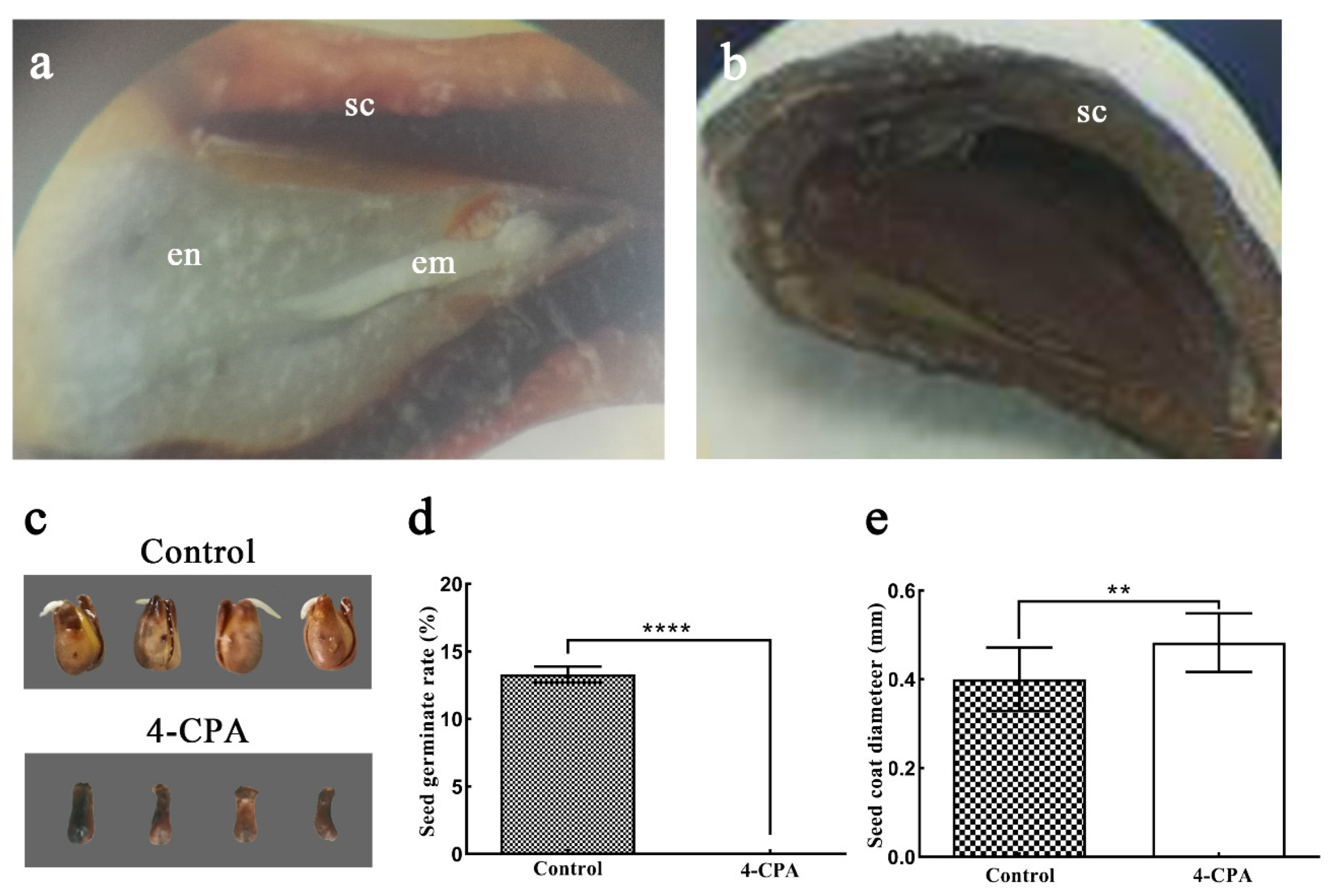 Biomolecules 11 00515 g003