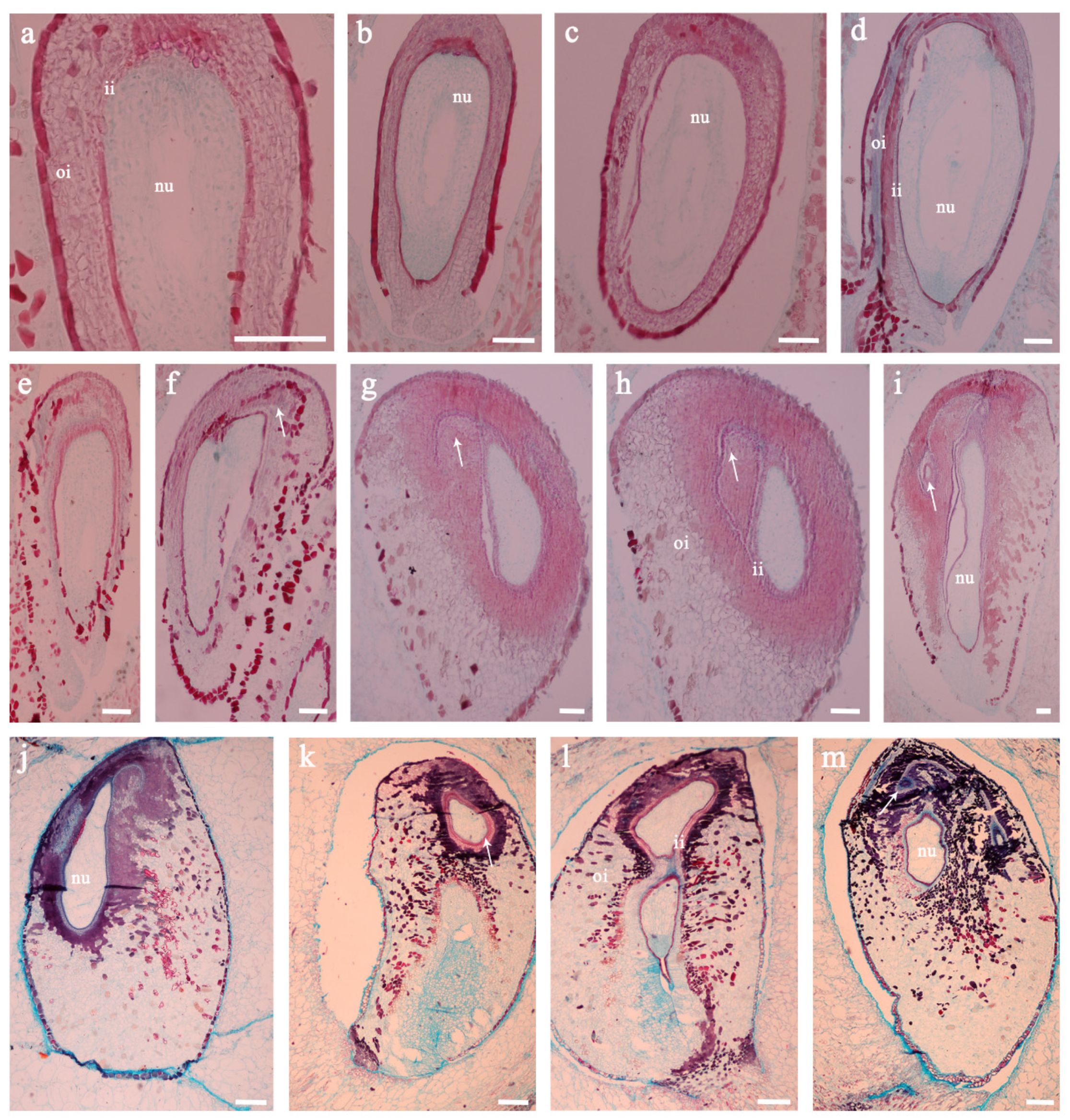 Biomolecules 11 00515 g004