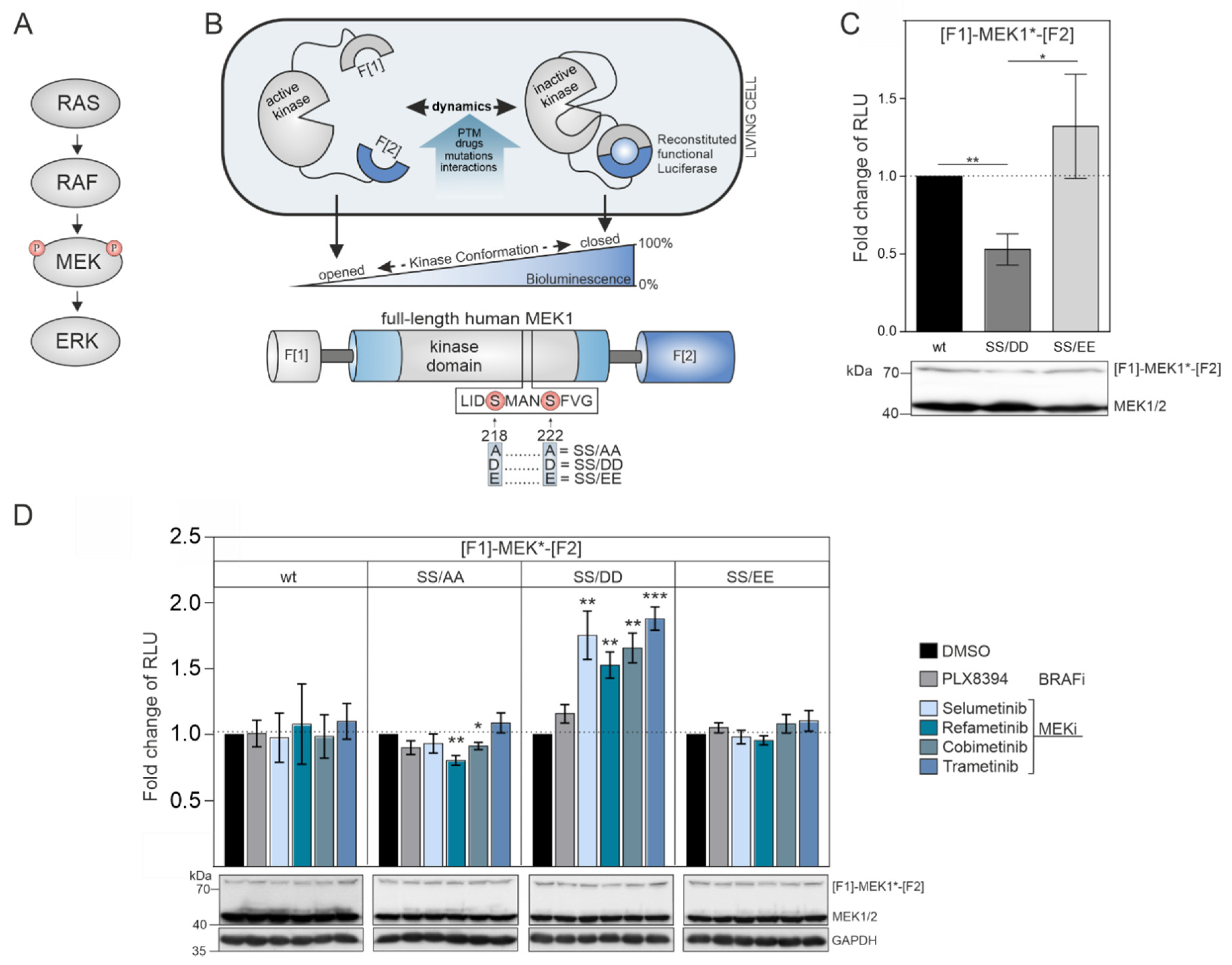 Biomolecules 11 00518 g001