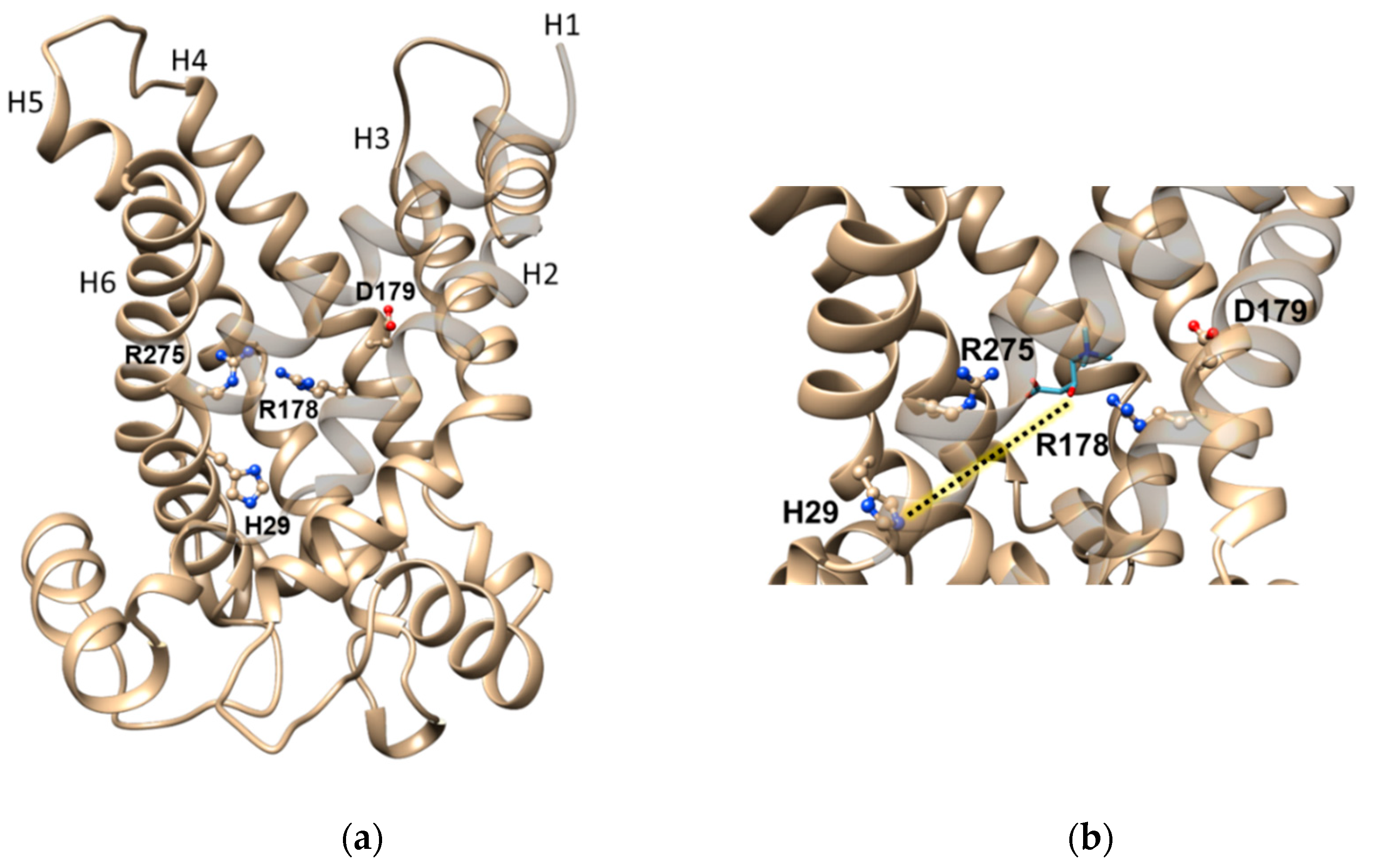 Biomolecules 11 00521 g003