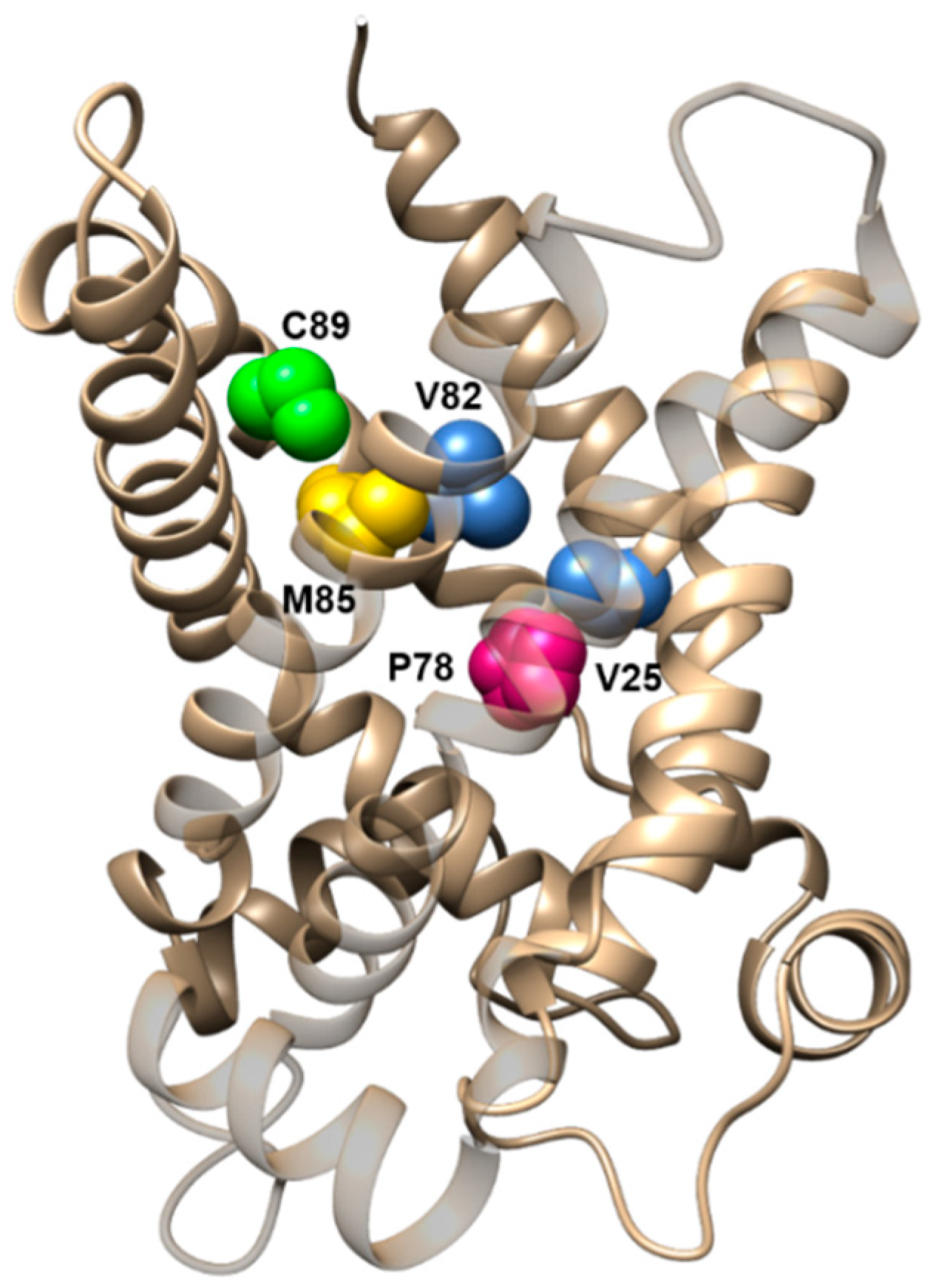 Biomolecules 11 00521 g004