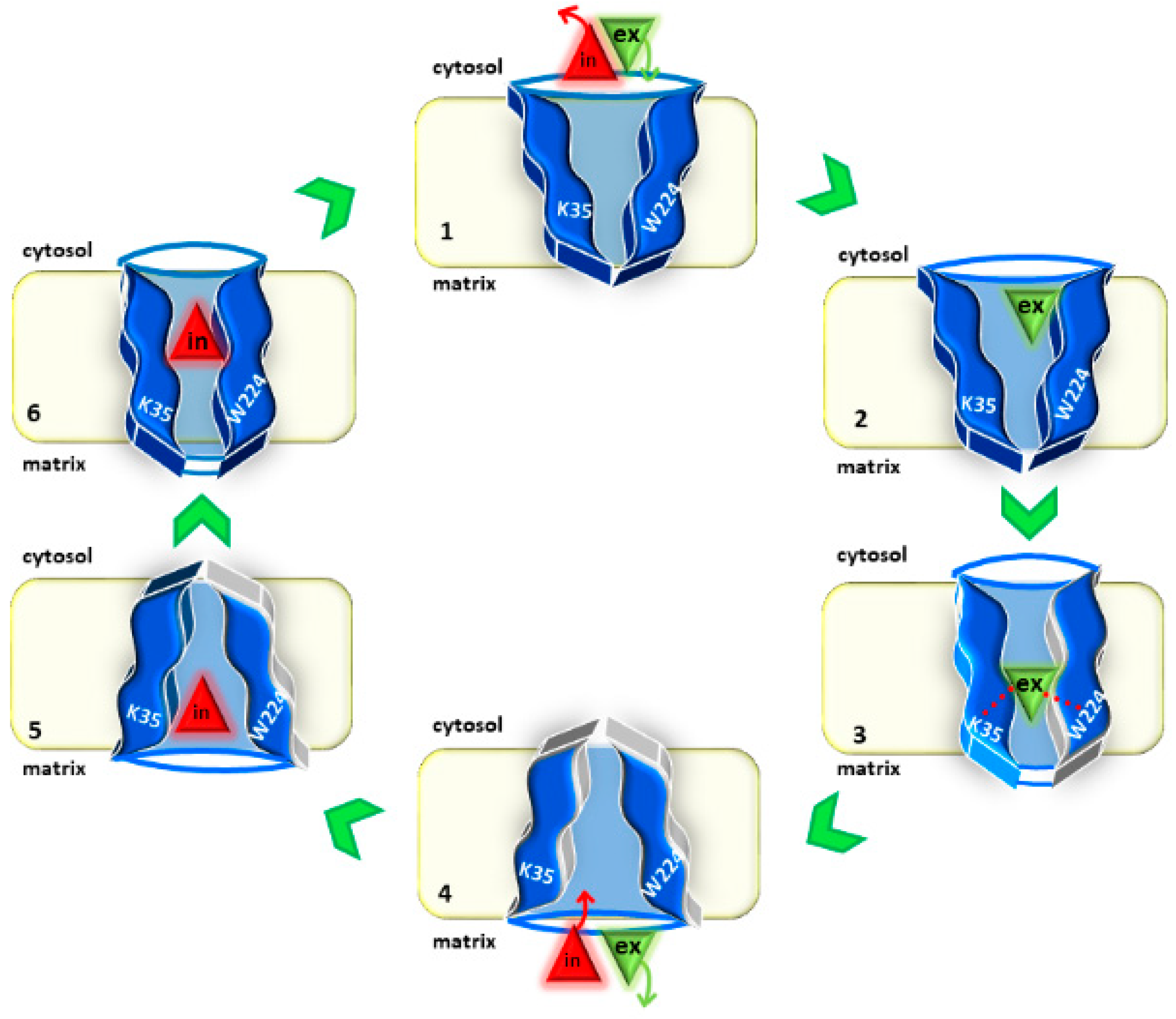 Biomolecules 11 00521 g006