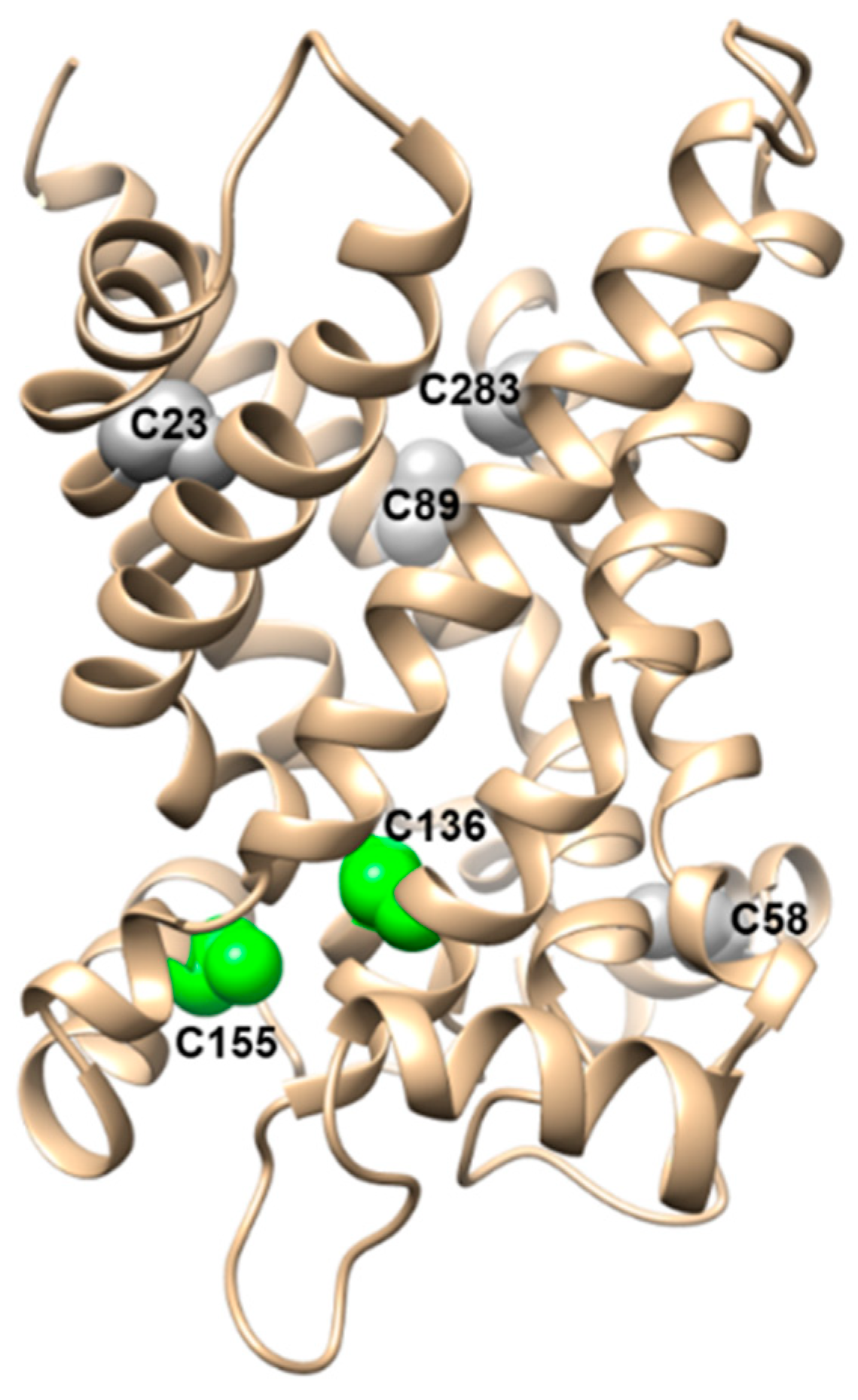 Biomolecules 11 00521 g008