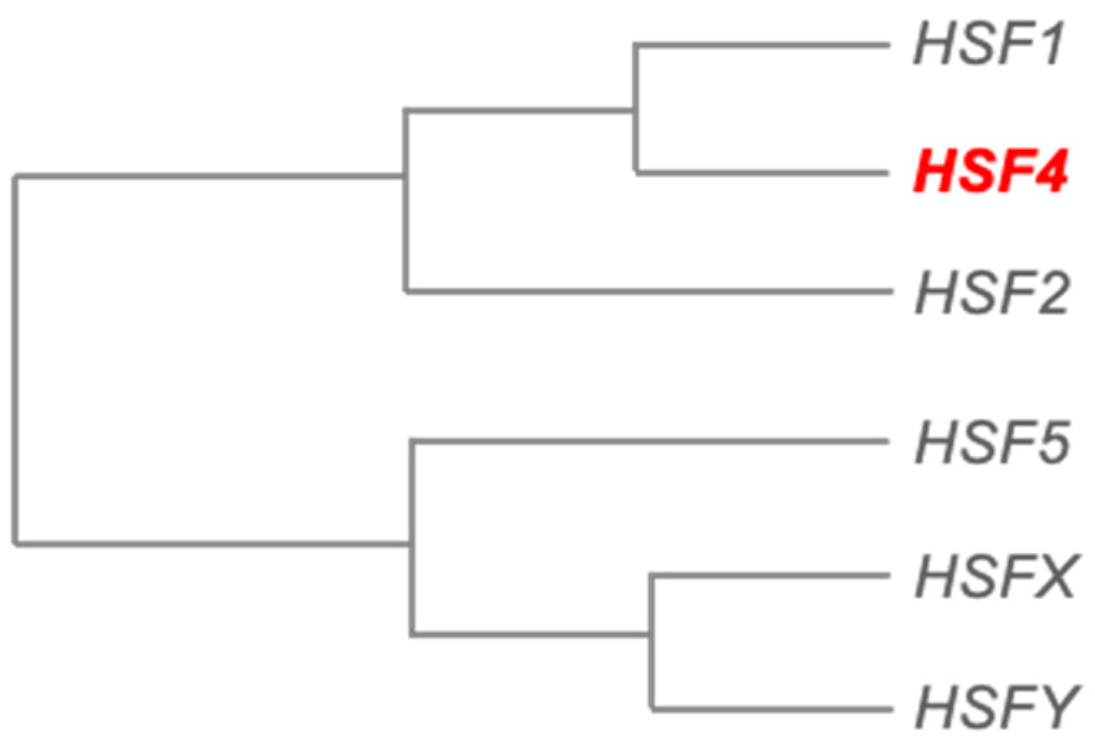 Biomolecules 11 00523 g001 Biomolecules 11 00523 g001