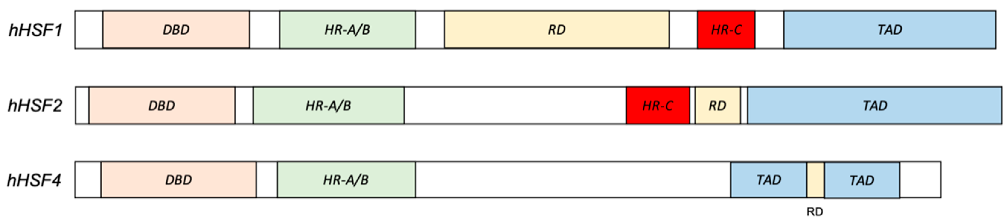 Biomolecules 11 00523 g002 Biomolecules 11 00523 g002