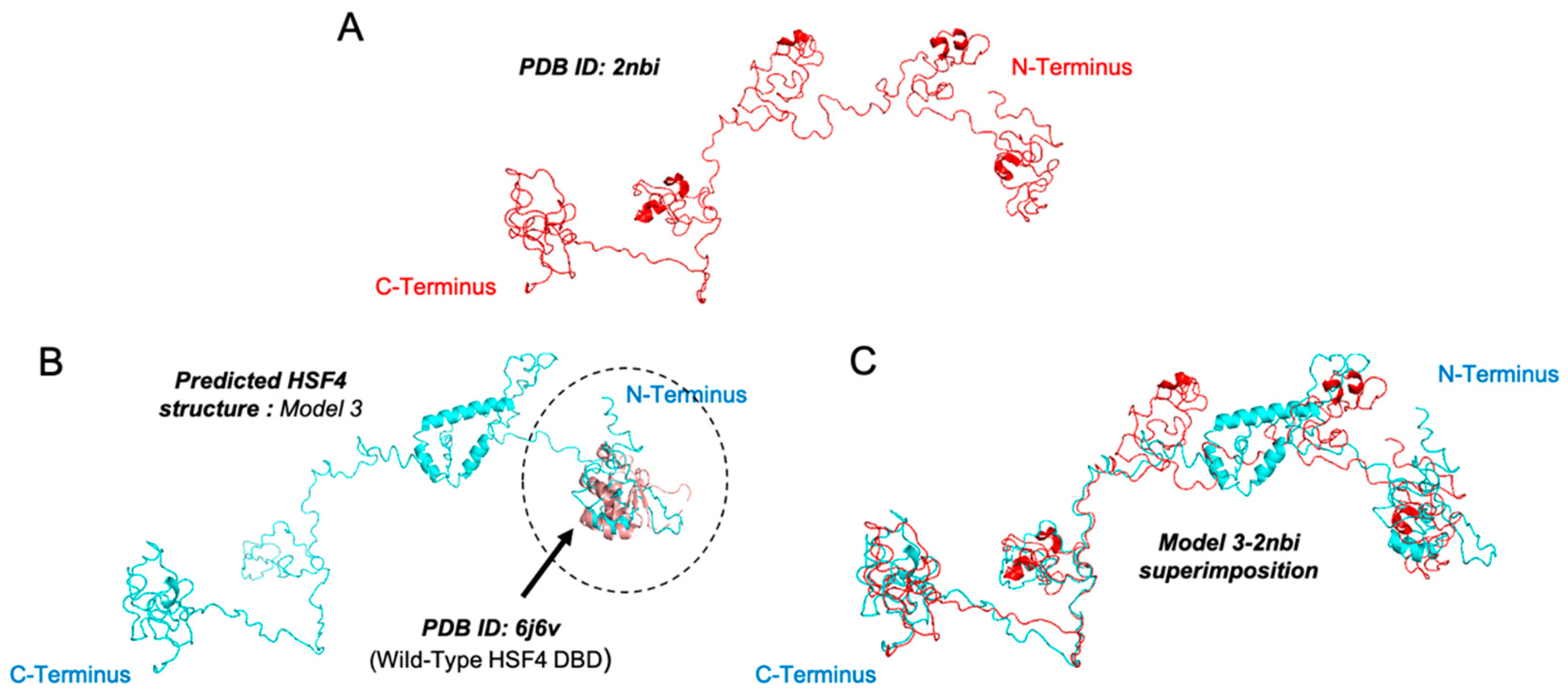 Biomolecules 11 00523 g004 Biomolecules 11 00523 g004