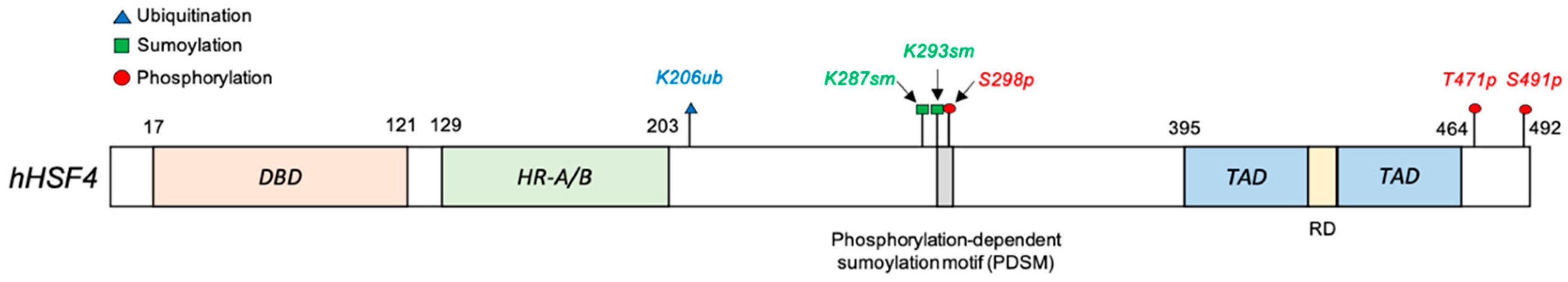 Biomolecules 11 00523 g005 Biomolecules 11 00523 g005