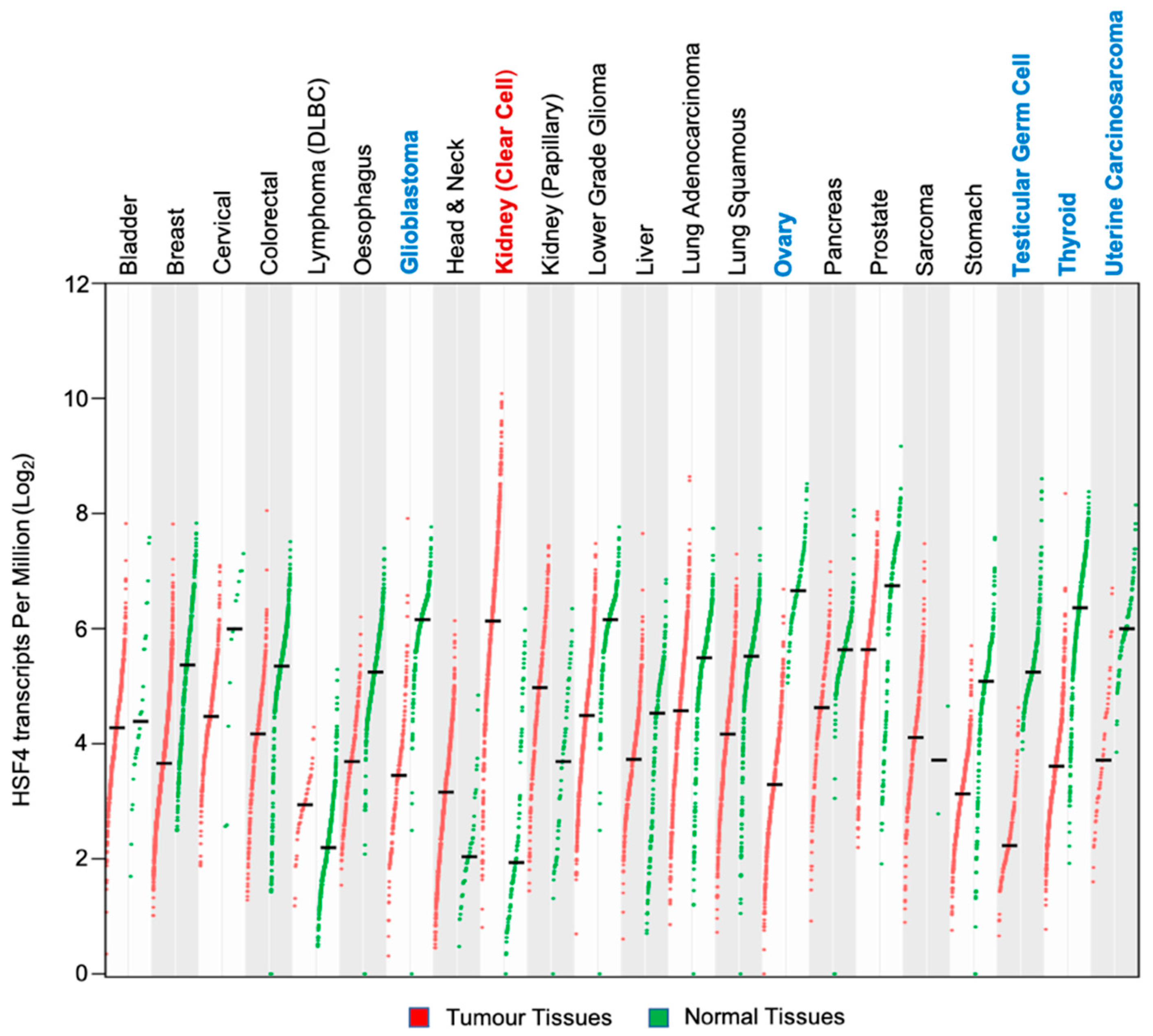 Biomolecules 11 00523 g007 Biomolecules 11 00523 g007