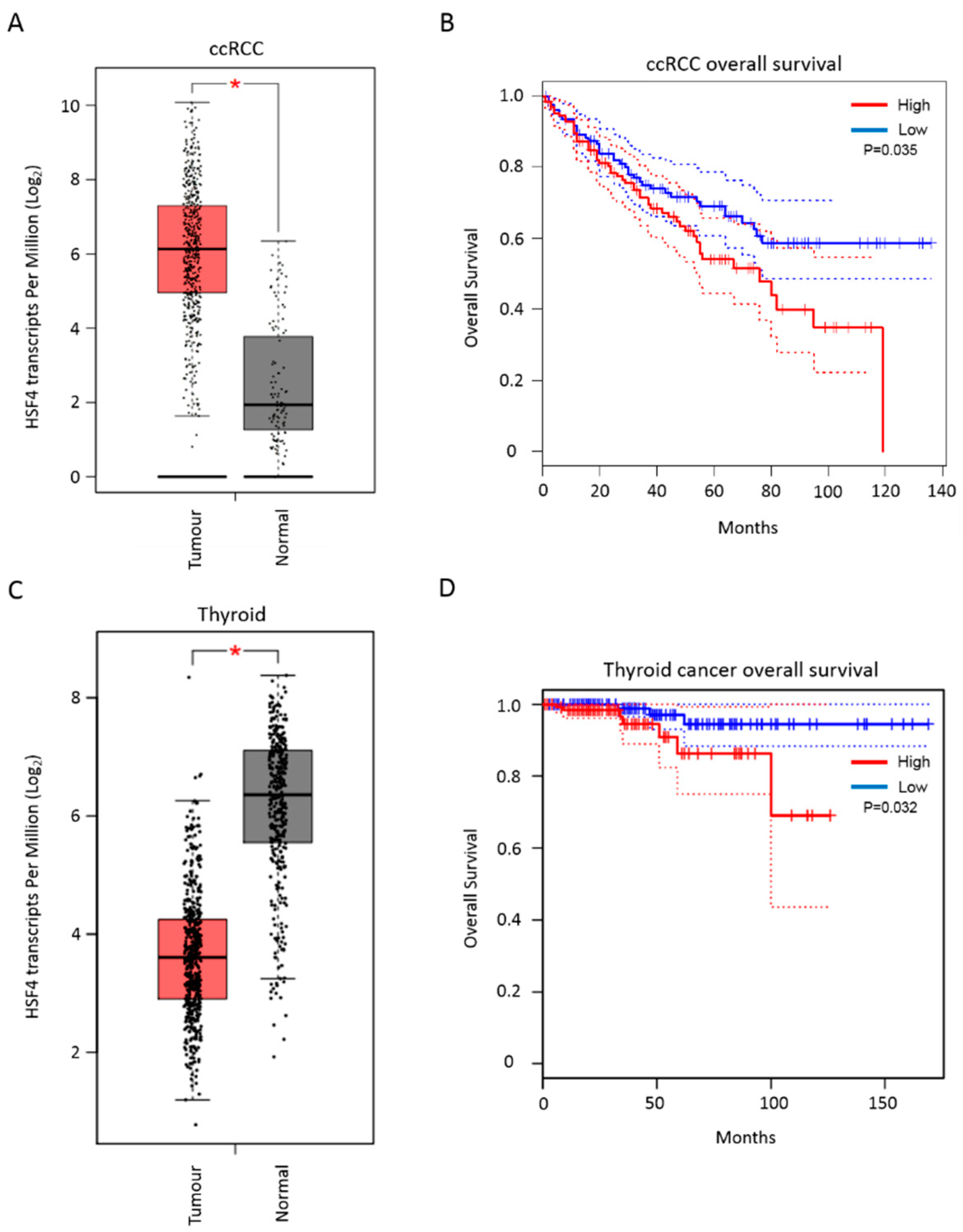 Biomolecules 11 00523 g008 Biomolecules 11 00523 g008