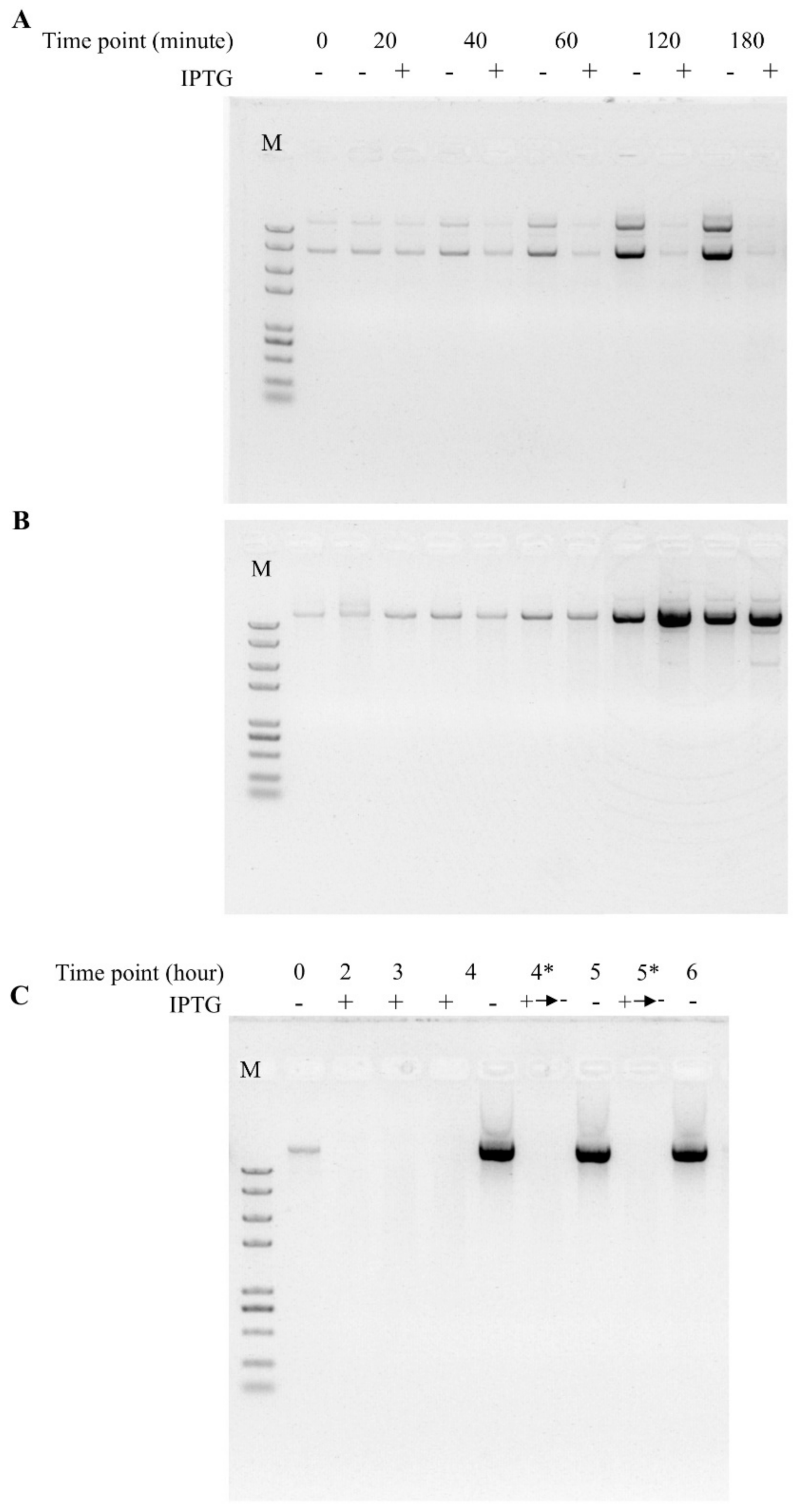 Biomolecules 11 00524 g003 Biomolecules 11 00524 g003