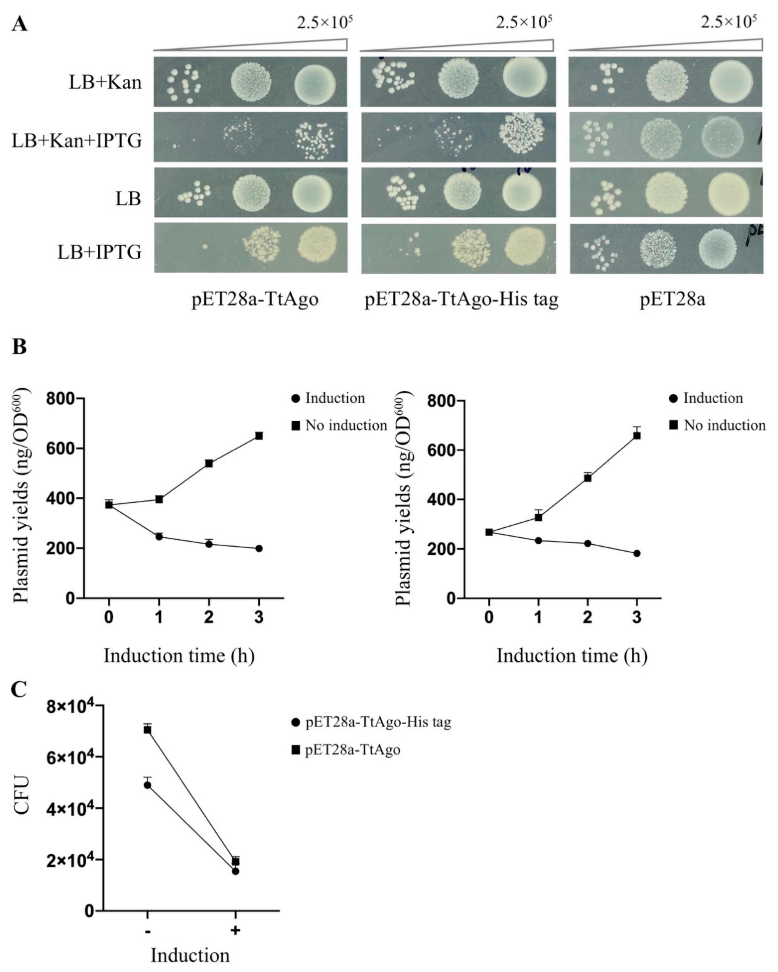 Biomolecules 11 00524 g006 Biomolecules 11 00524 g006