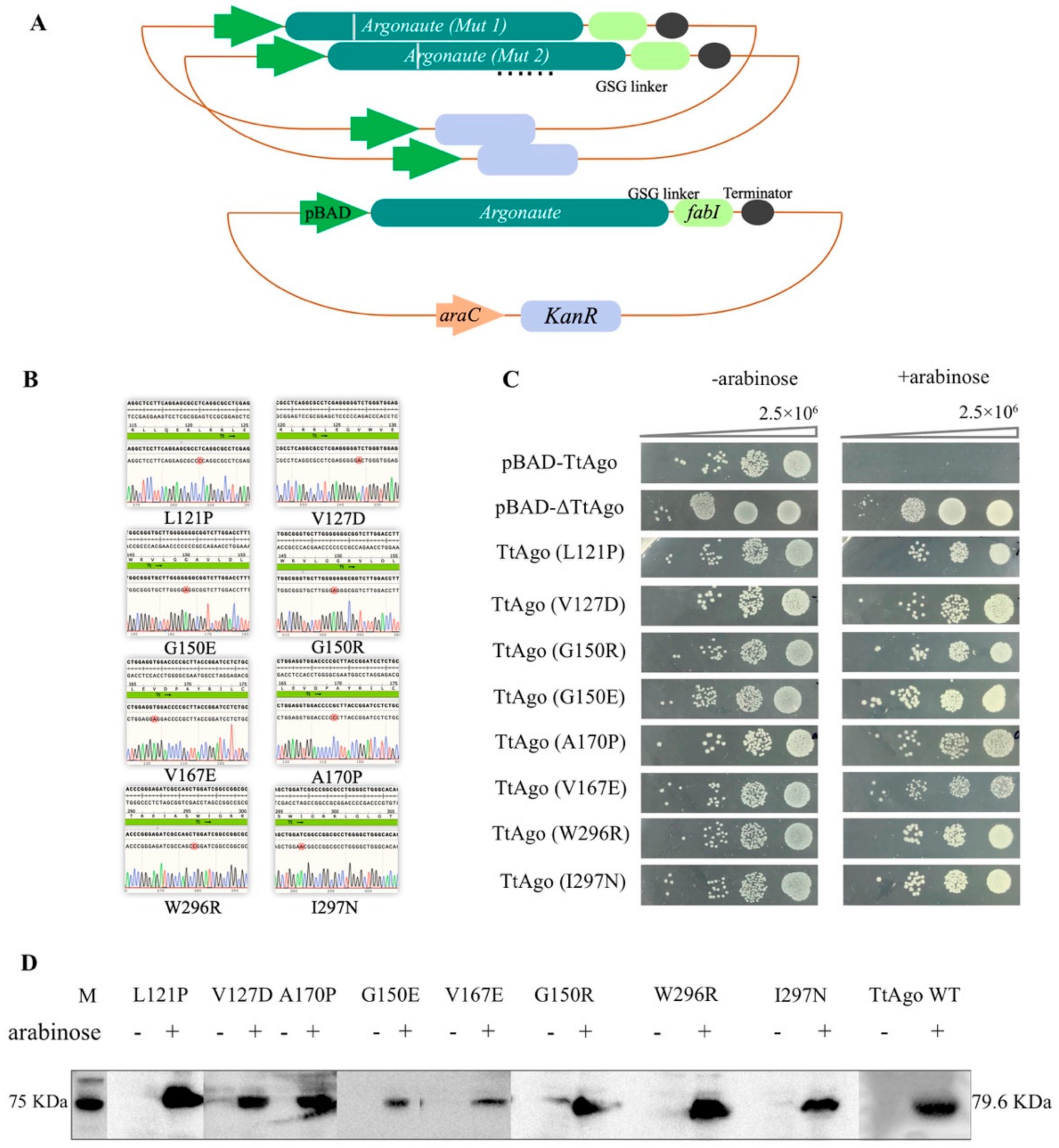 Biomolecules 11 00524 g009 Biomolecules 11 00524 g009
