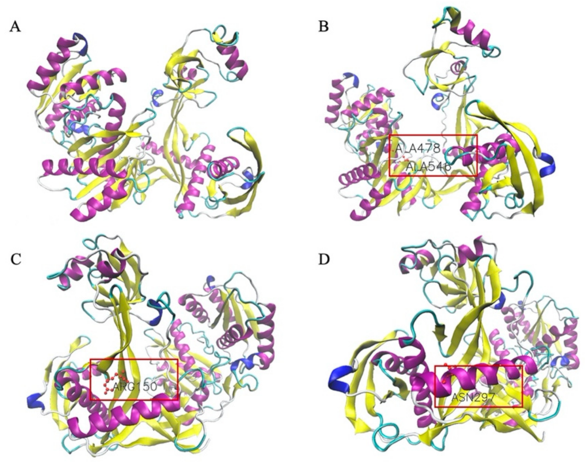 Biomolecules 11 00524 g011 Biomolecules 11 00524 g011