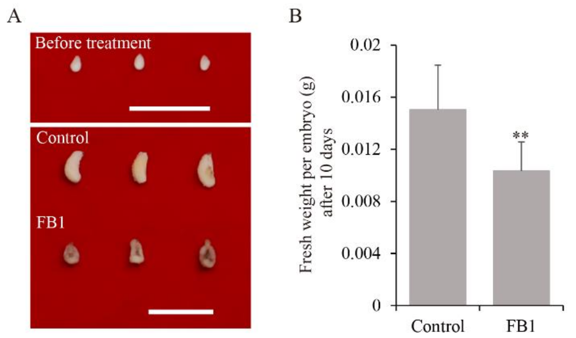 Biomolecules 11 00525 g001 Biomolecules 11 00525 g001