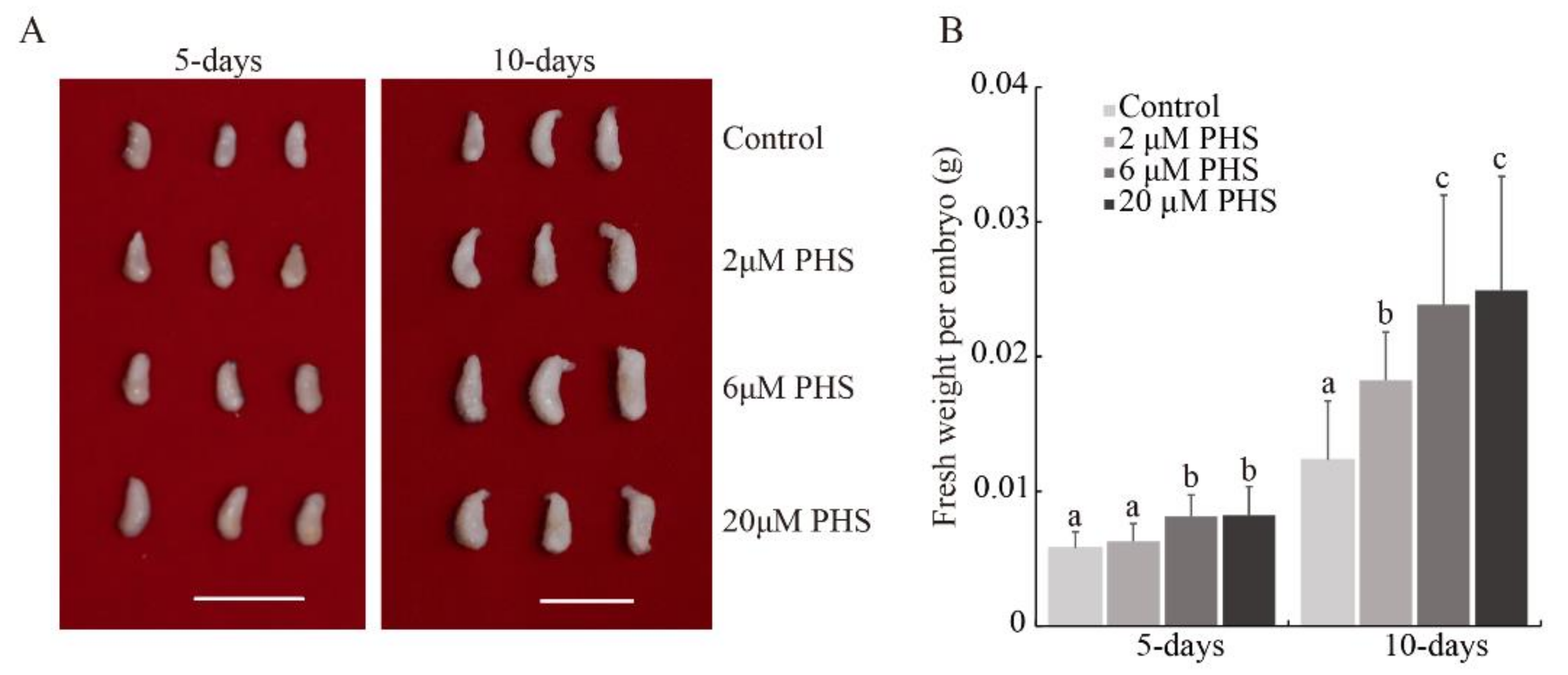 Biomolecules 11 00525 g004 Biomolecules 11 00525 g004