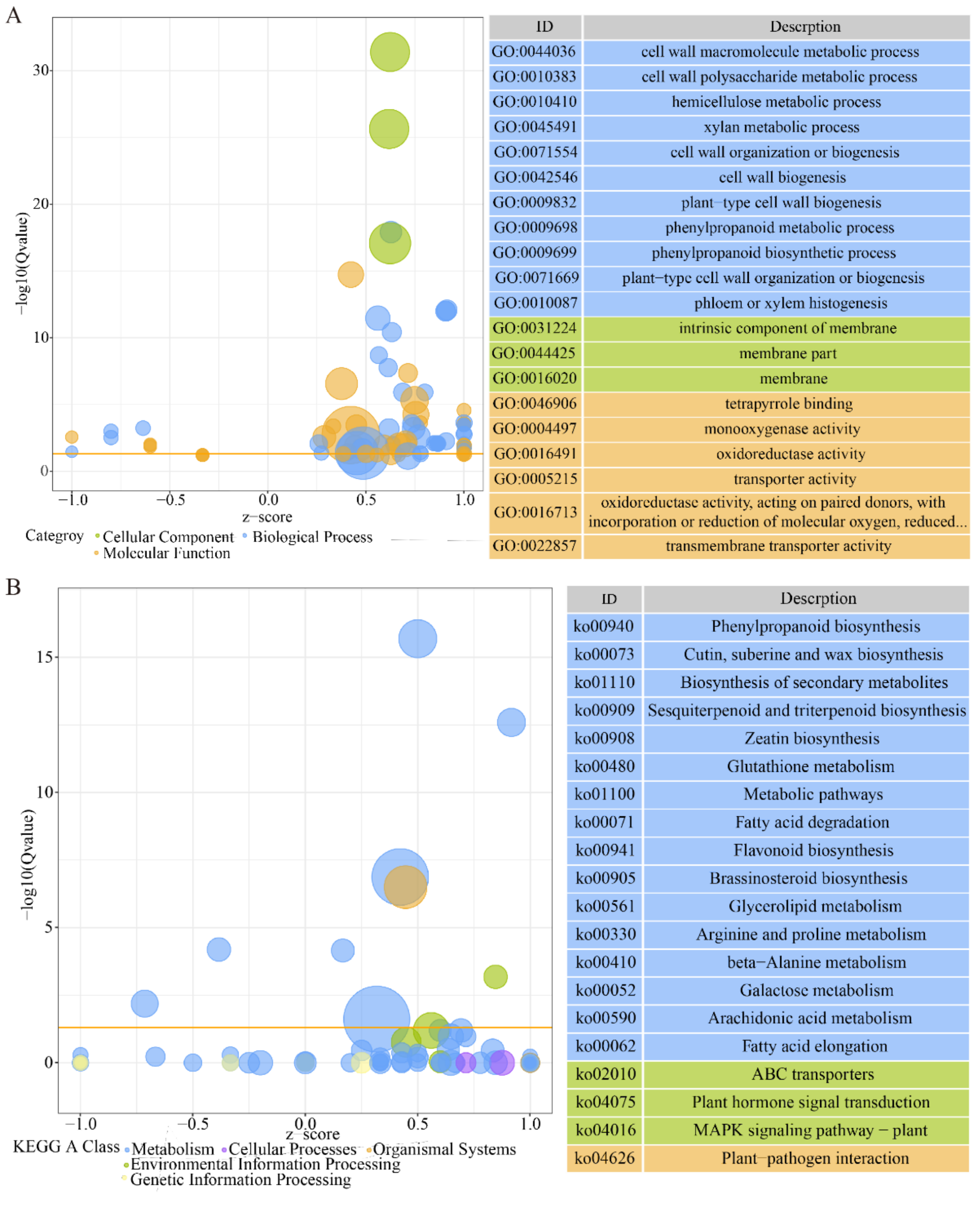 Biomolecules 11 00525 g005 Biomolecules 11 00525 g005