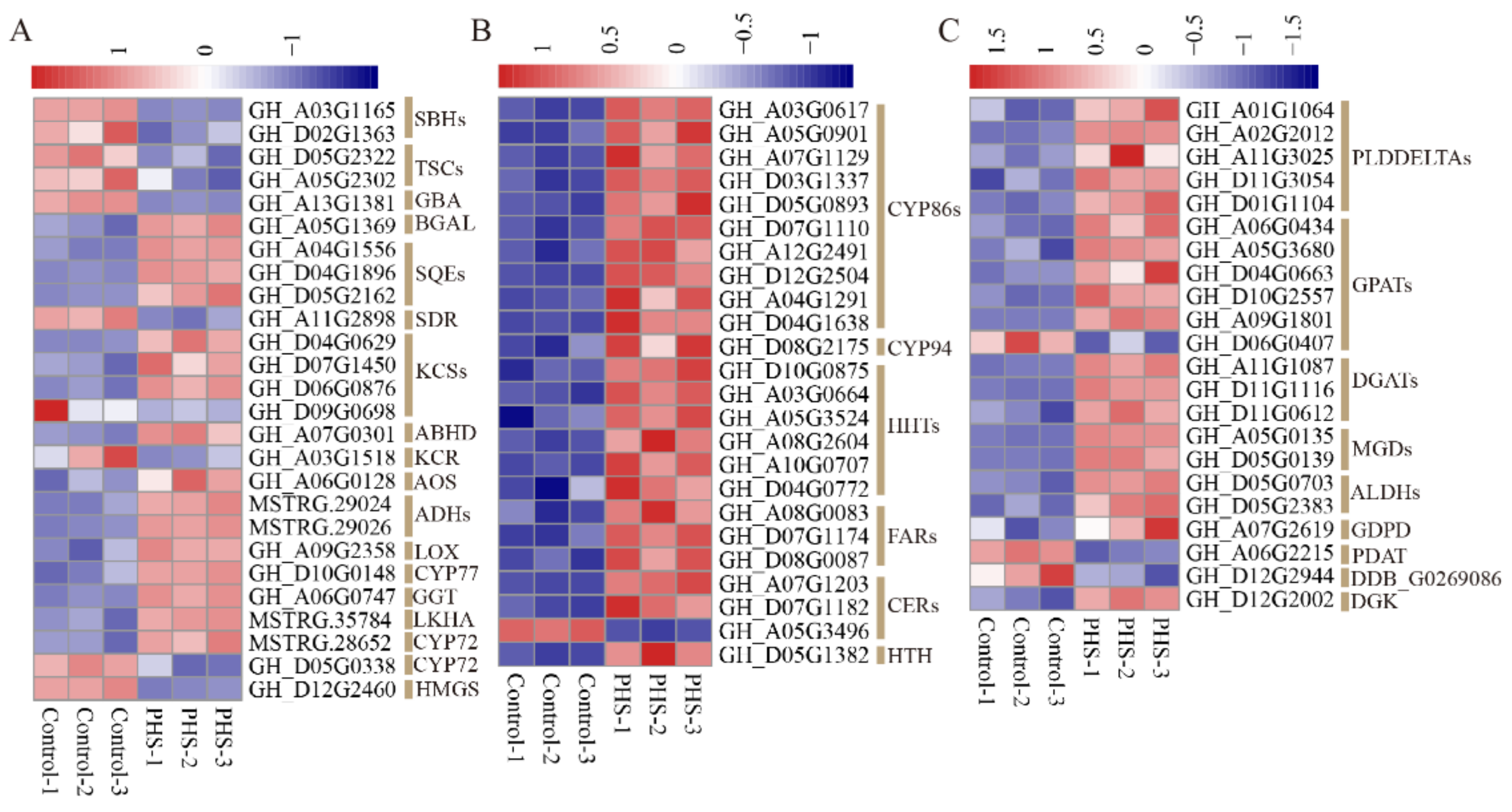 Biomolecules 11 00525 g007 Biomolecules 11 00525 g007