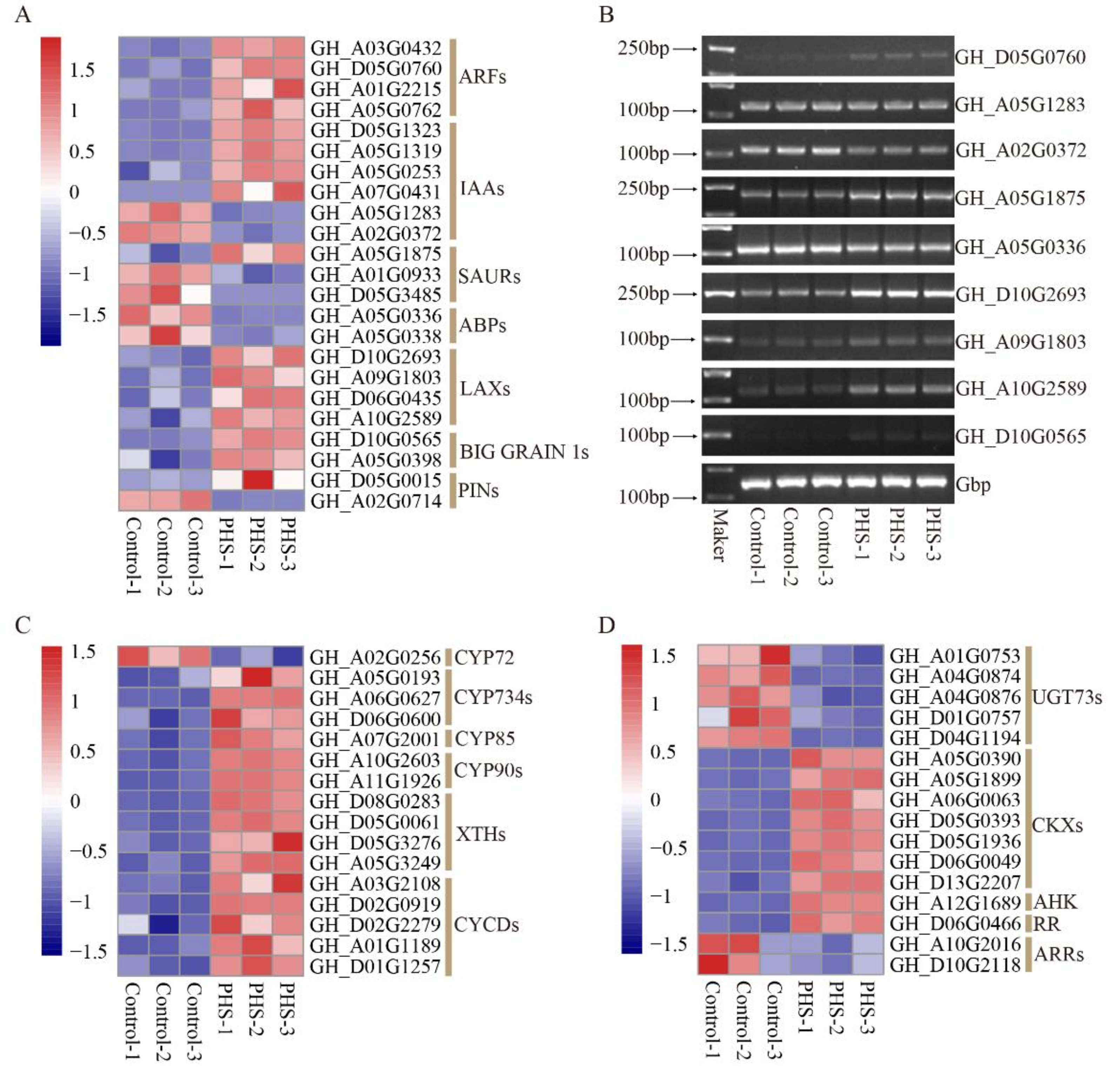 Biomolecules 11 00525 g008 Biomolecules 11 00525 g008