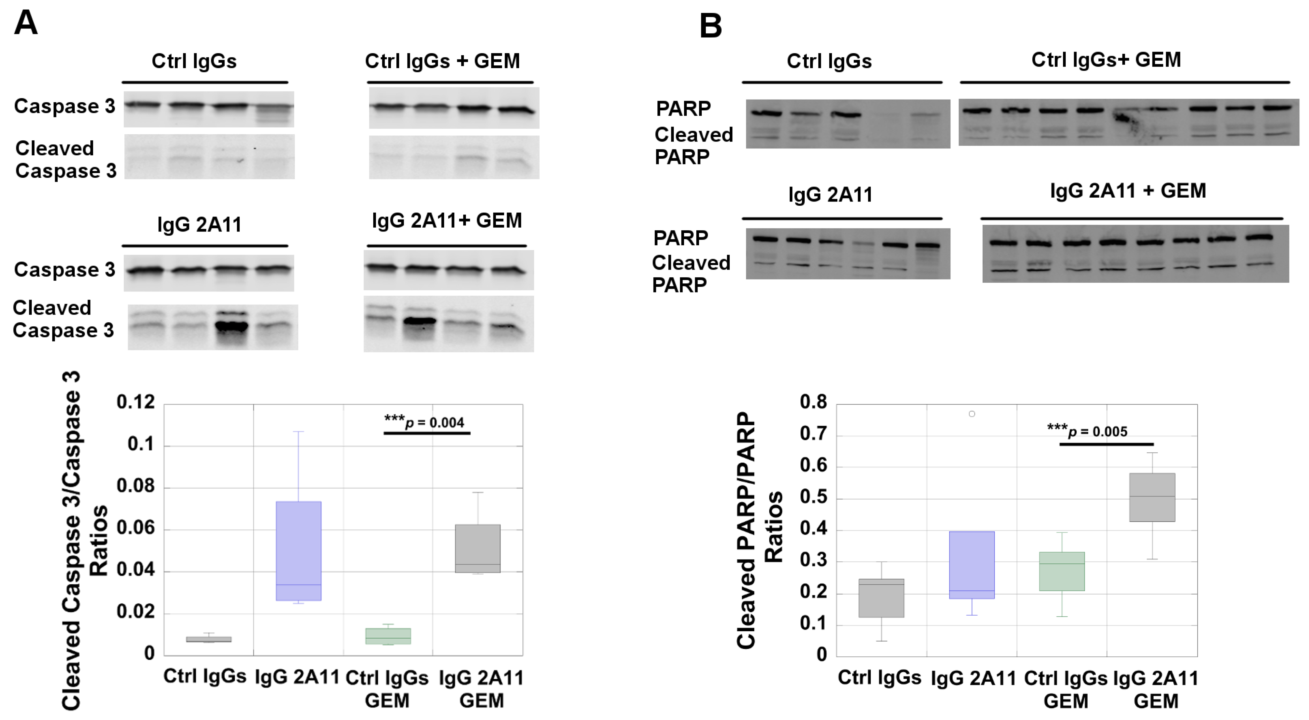 Biomolecules 11 00526 g004