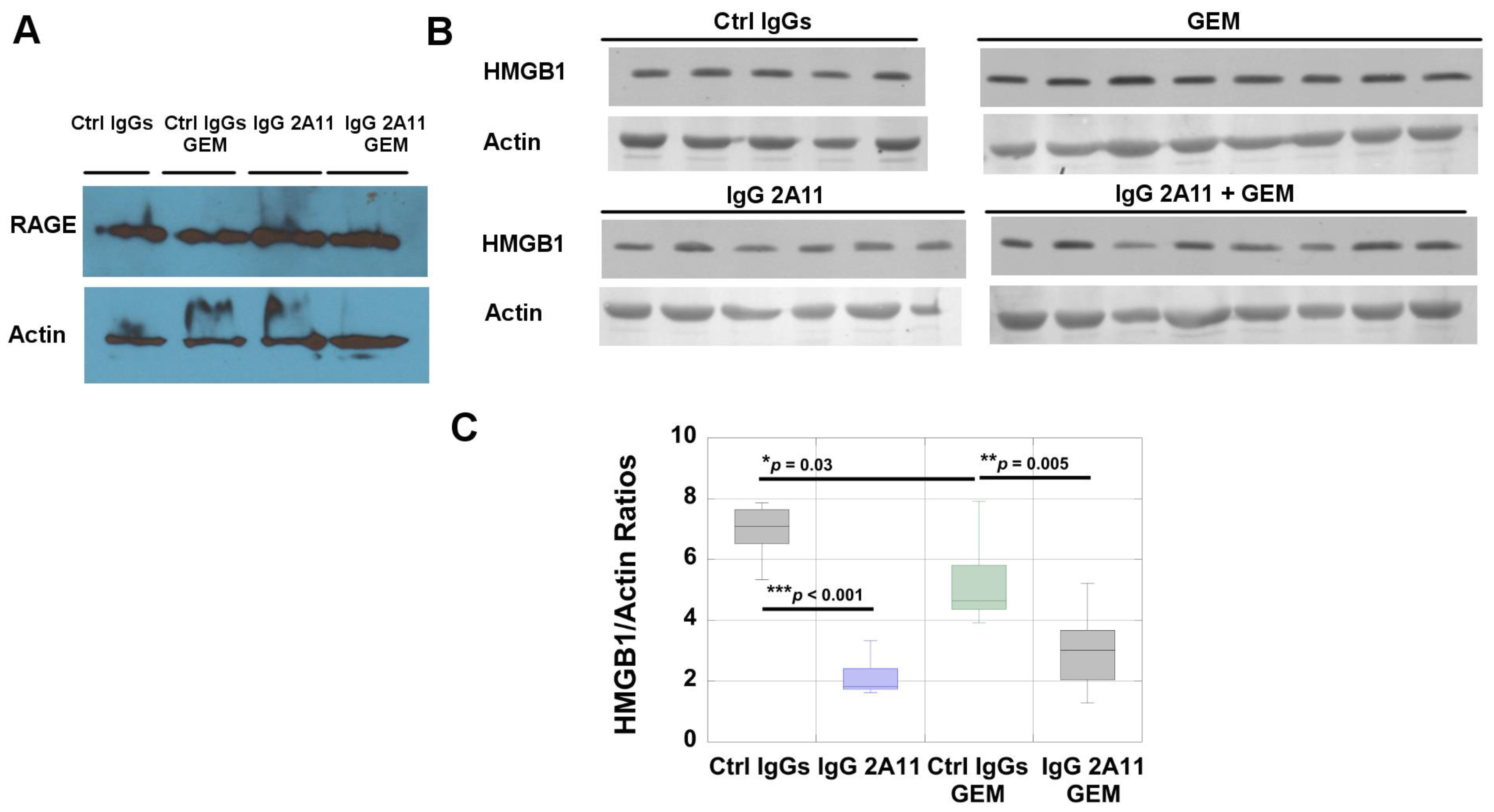 Biomolecules 11 00526 g007
