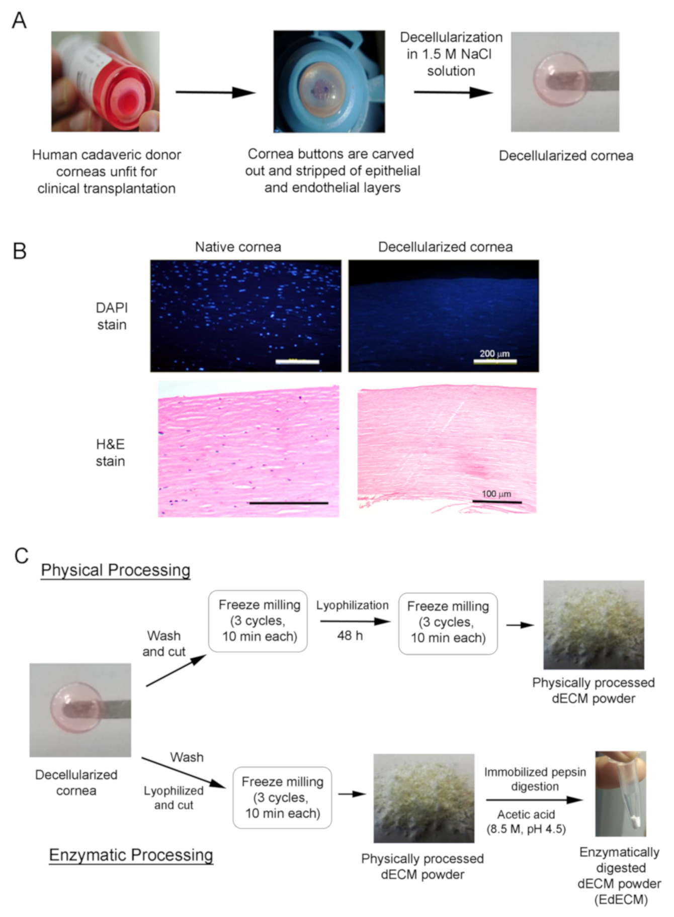 Biomolecules 11 00532 g001 Biomolecules 11 00532 g001